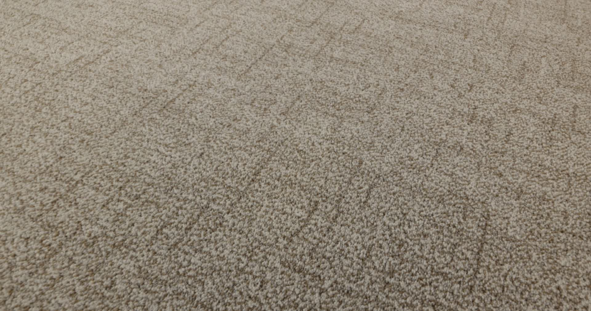 SILHOUETTE BARN OWL 360PROD