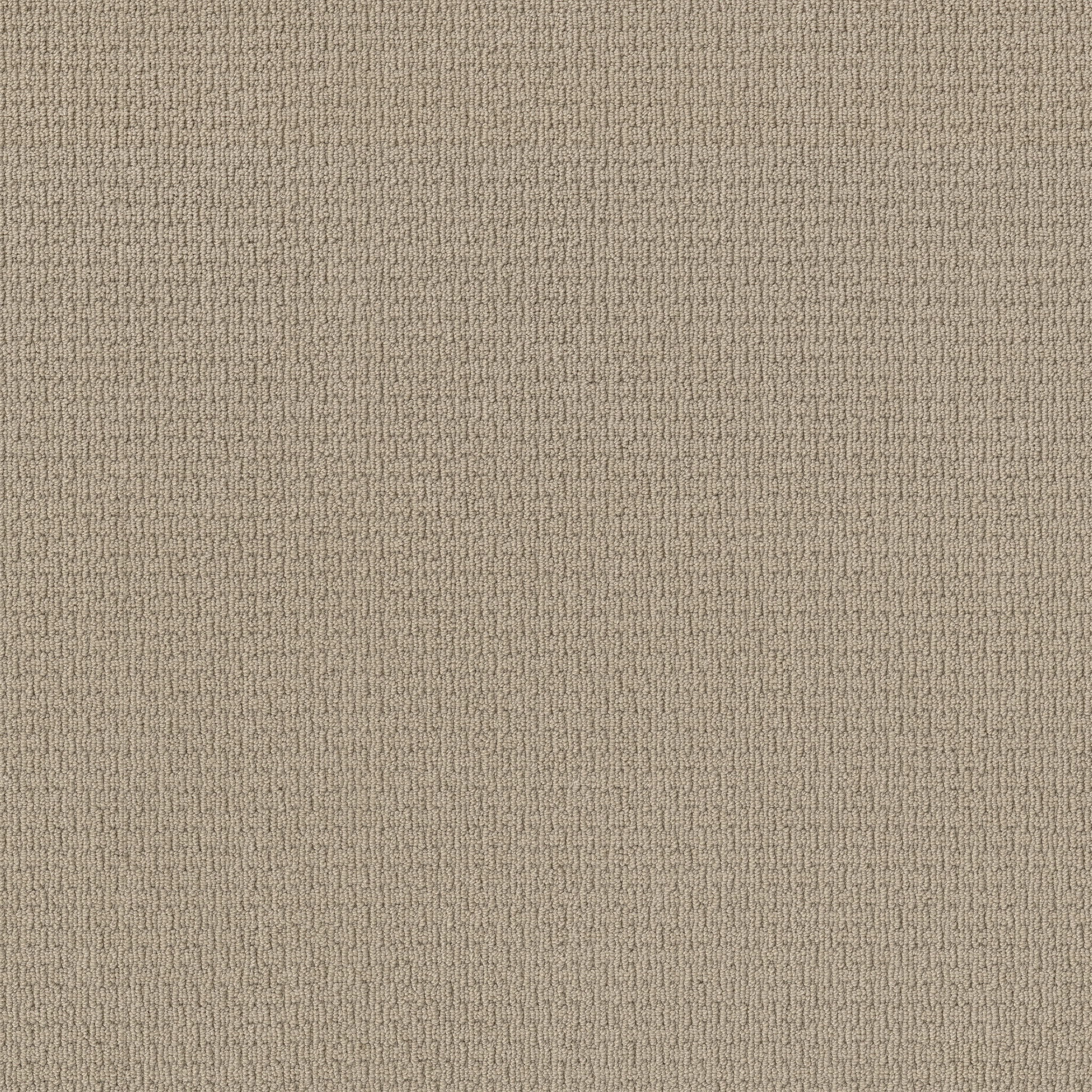 Casual Life - 100% ANSO® Nylon in Chic Cream | AndersonTuftex