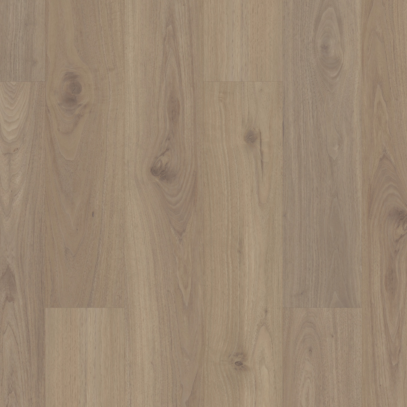 Aver Walnut swatch