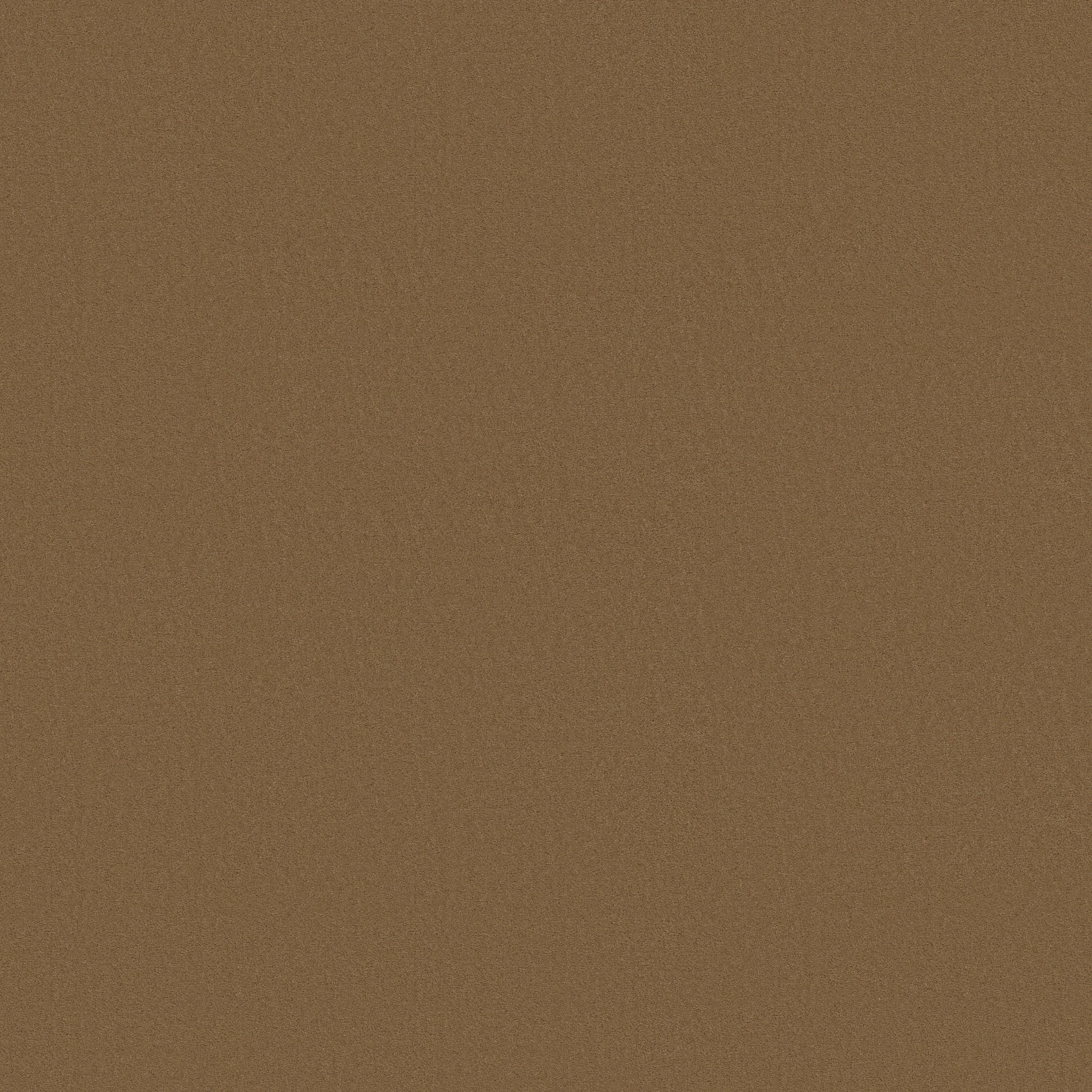 FINERY CANDIED PECAN MAIN