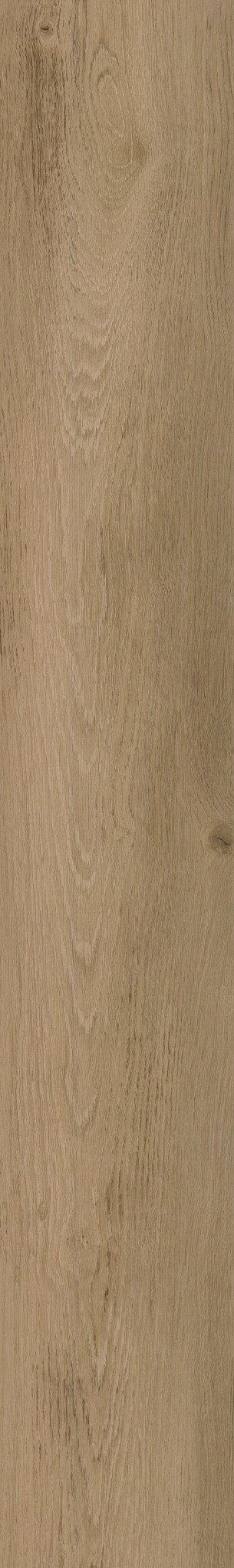 BALTIMORE OAK 54 1TO1