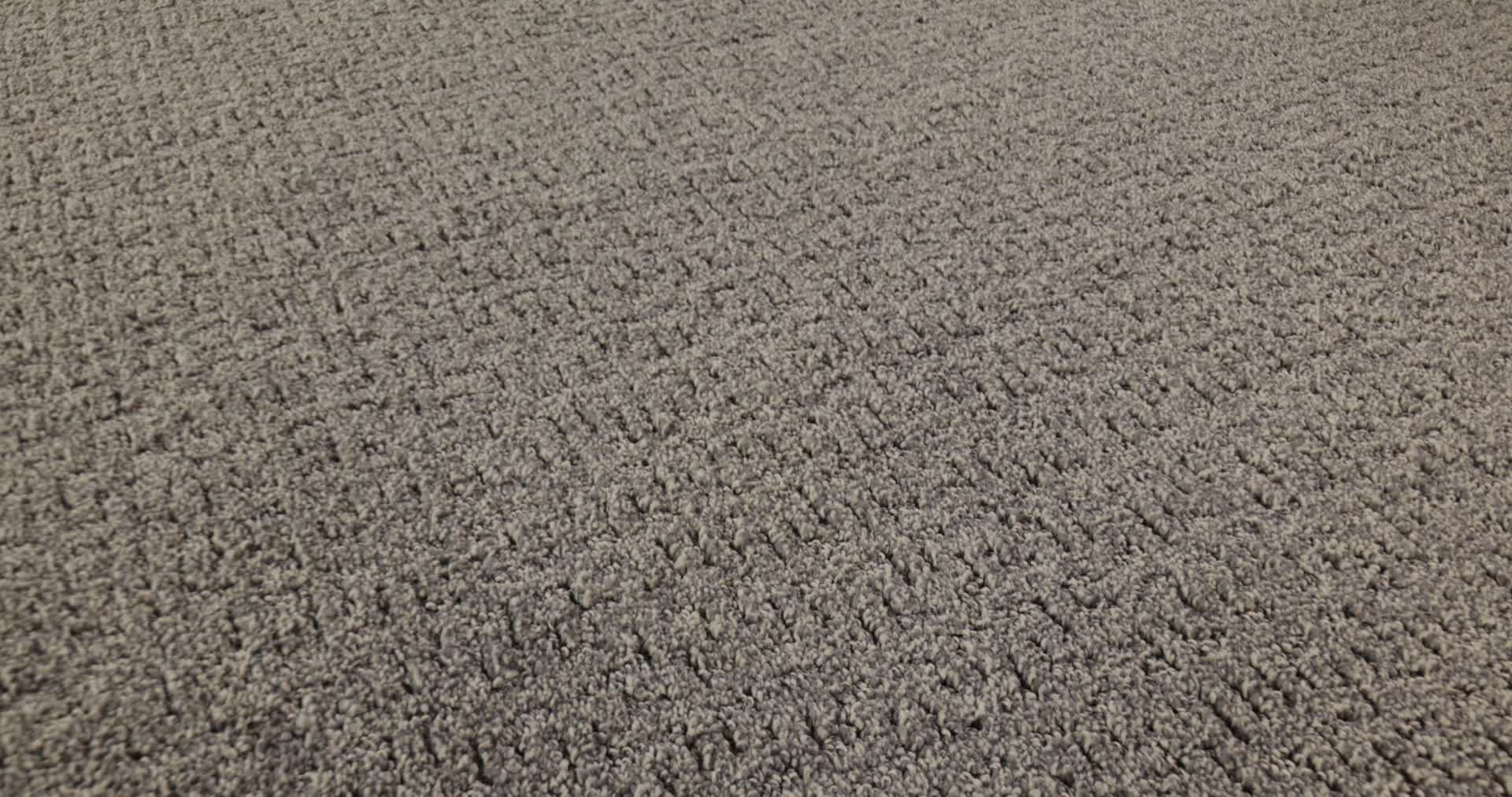 SECRET JOURNEY SHADOWS 360PROD