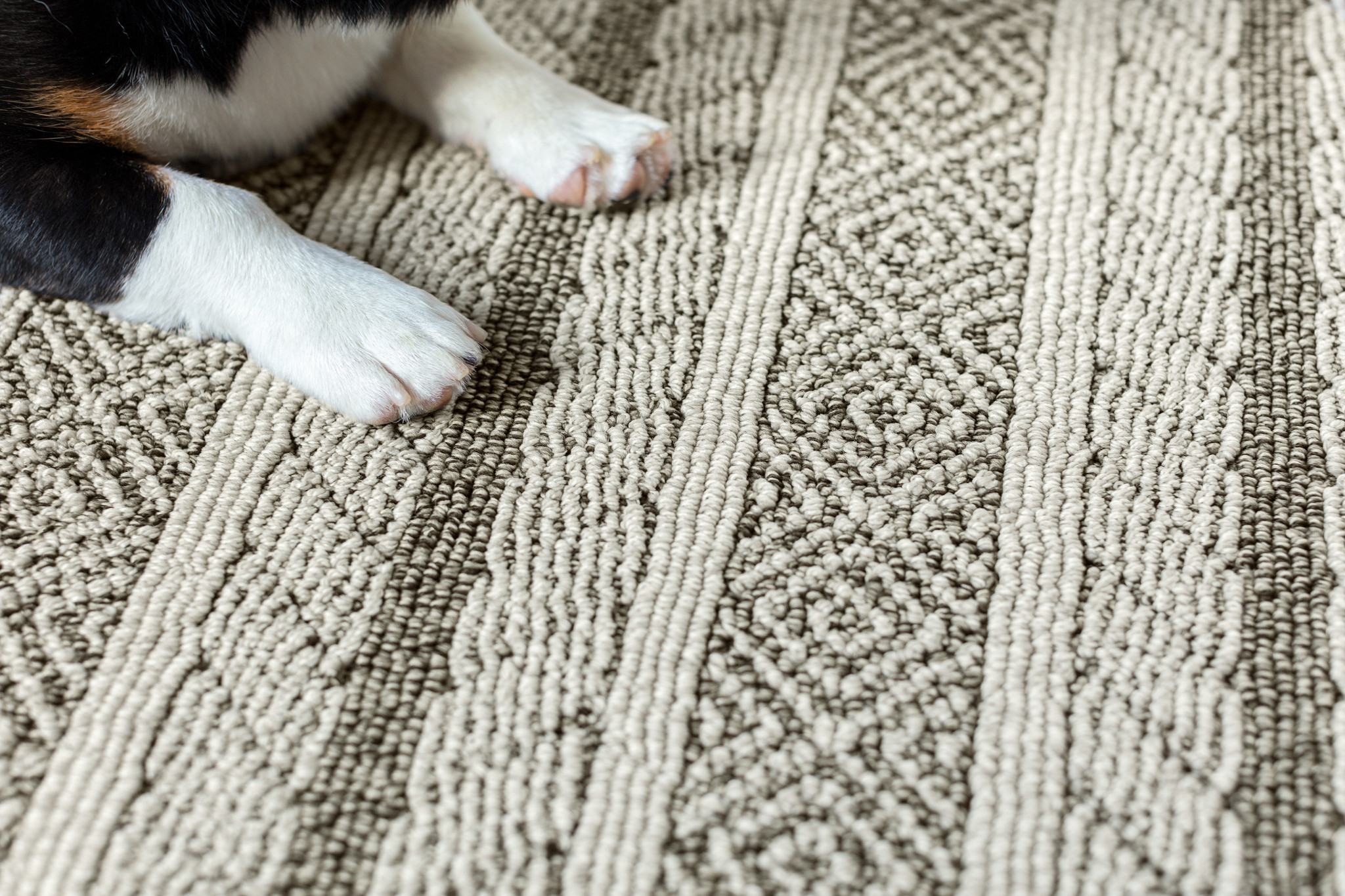 SPEAK DESERT PALM StaticImage05