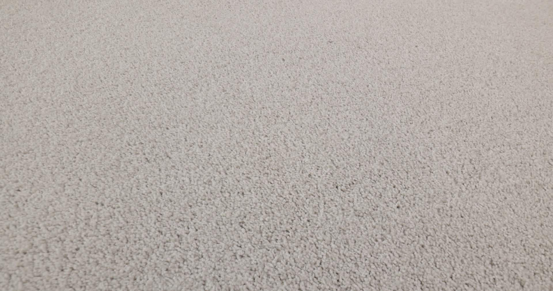 COZY HARBOR I FREE SPACE 360PROD