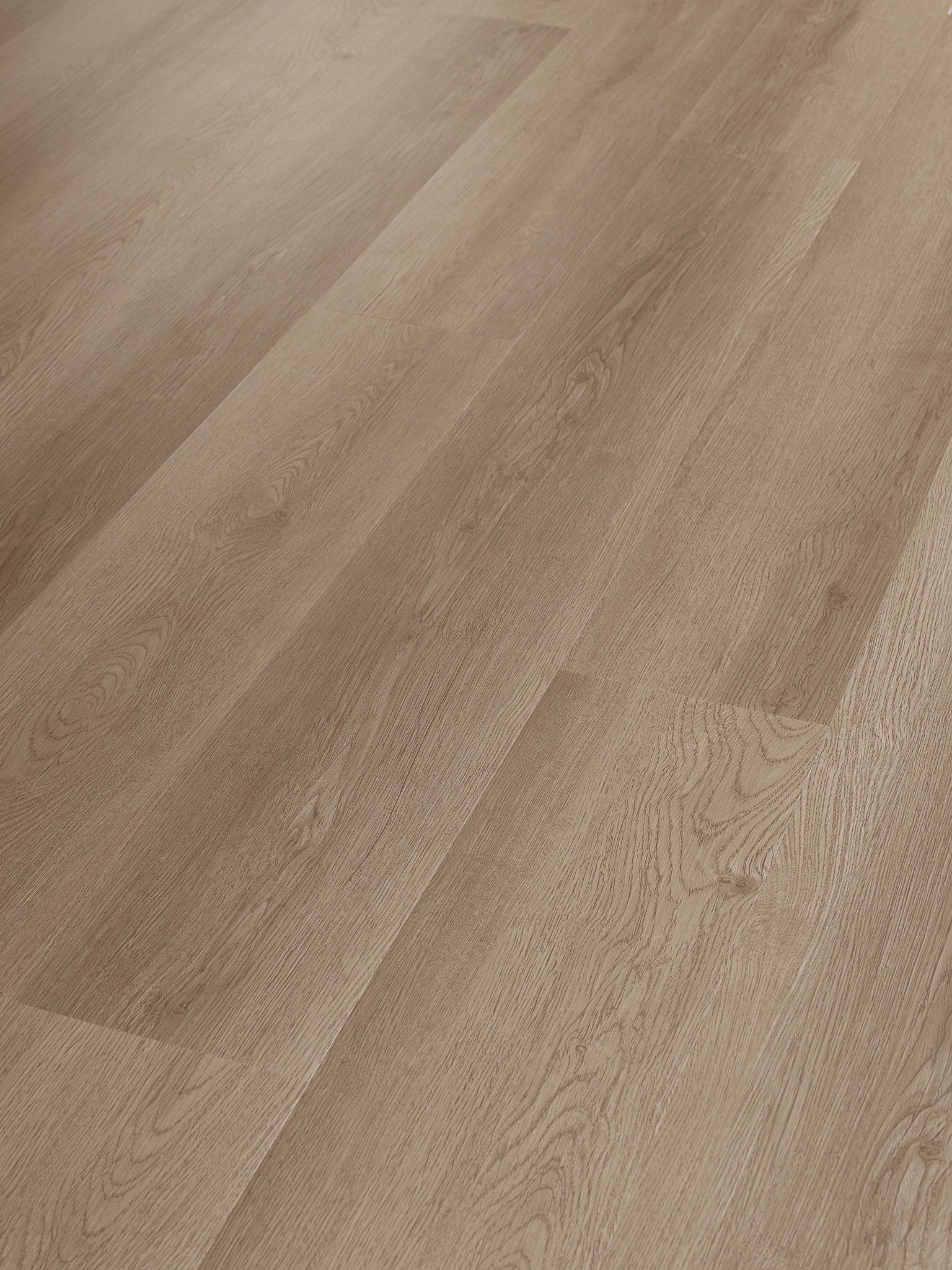 INFINITE SPC GRAND CANYON ANGLED