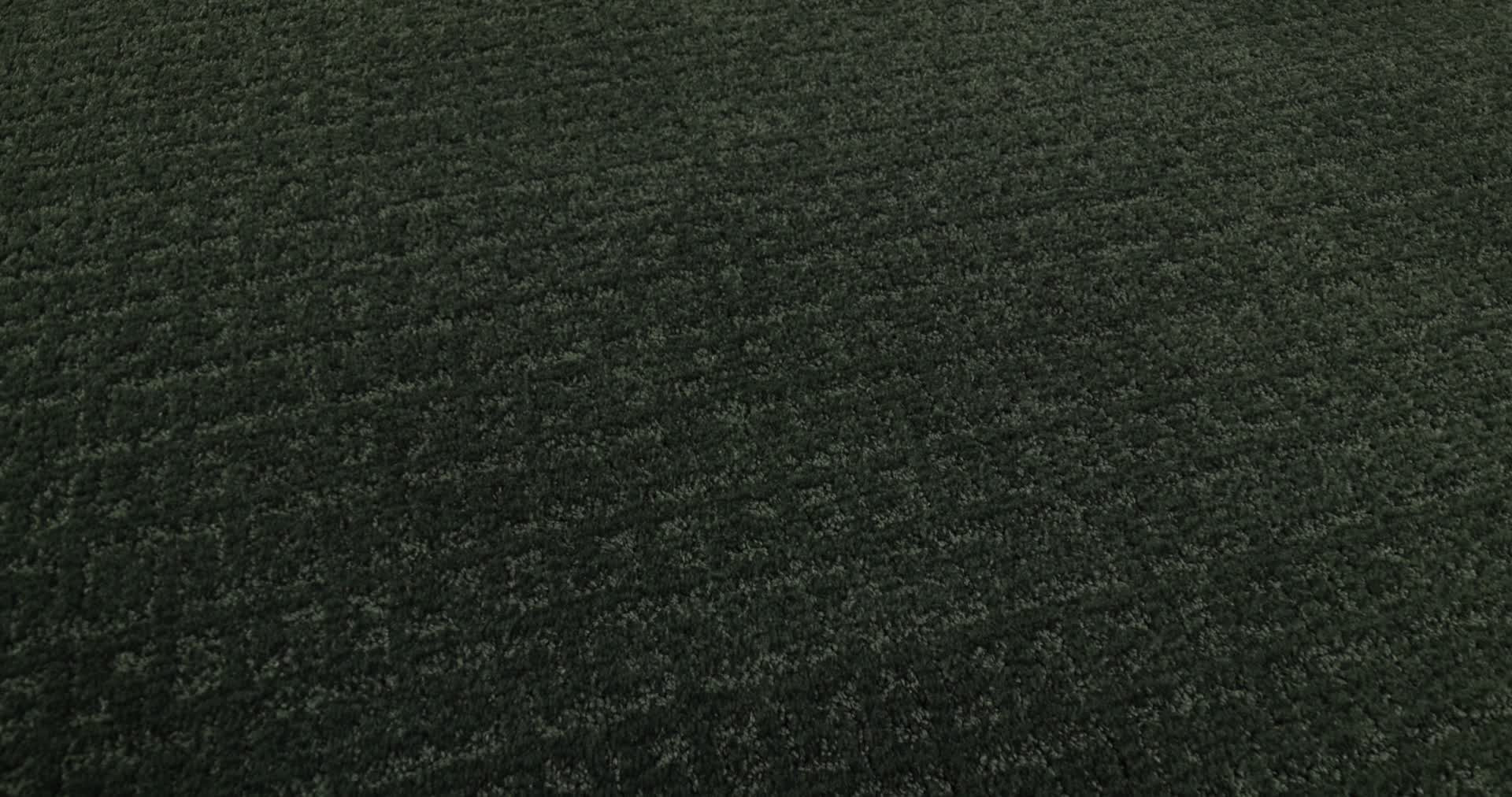 VIGNETTE DEEP PINE 360PROD