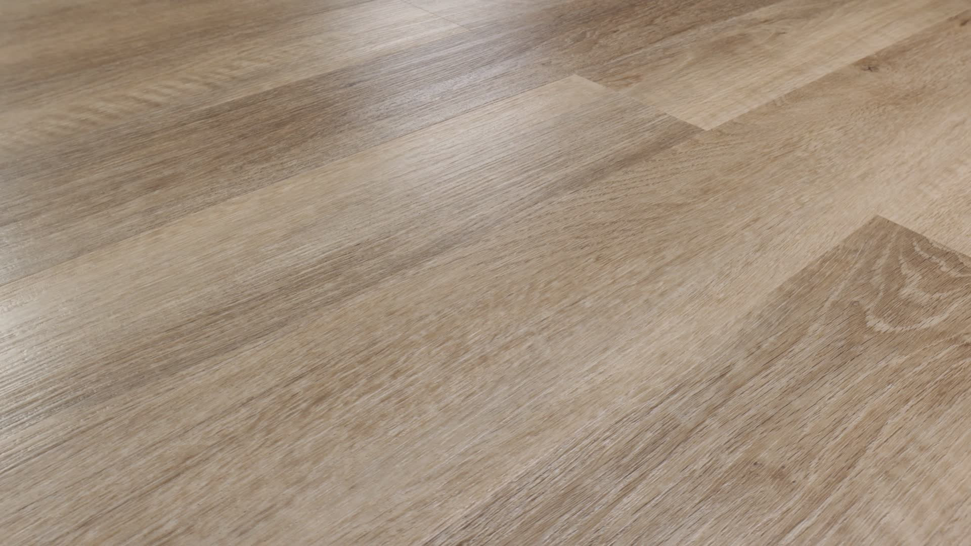 BROCKPORT OAK 360PROD