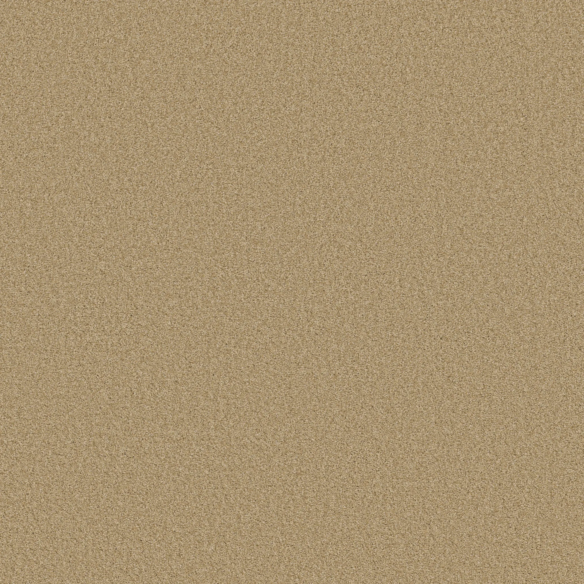 hello-sunshine-transform-your-space-today-with-carpet's-texture-broadloom-carpet-in-softbac-w-lifeguard-technology