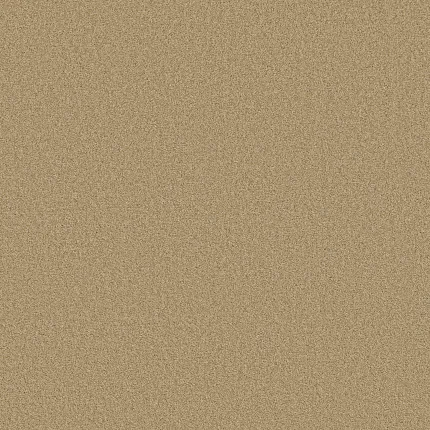 Hello Sunshine: Transform Your Space Today with Carpet's Texture Broadloom Carpet in Softbac W Lifeguard Technology! hello-sunshine-transform-your-space-today-with-carpet's-texture-broadloom-carpet-in-softbac-w-lifeguard-technology