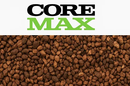 Core Max Branding with Pebble Background Core Max logo with brown pebbles