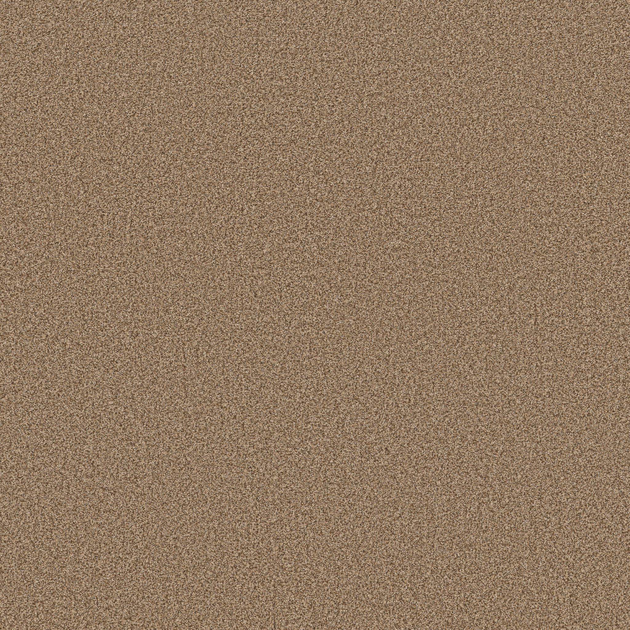 SOMERSET TOASTY MAIN