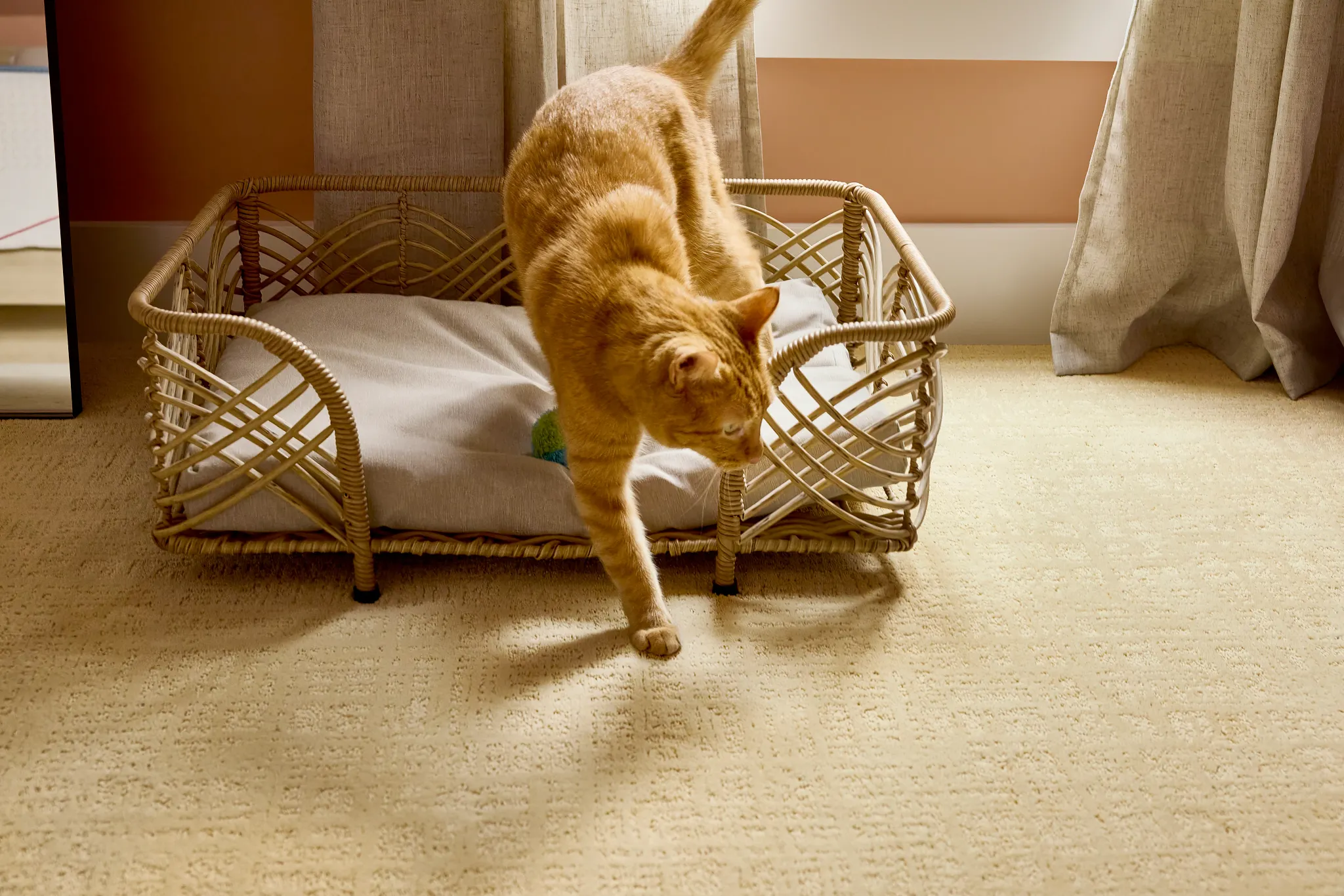 Cozy living room with durable carpet flooring, featuring a mustard yellow sofa, a white armchair, and a playful dog