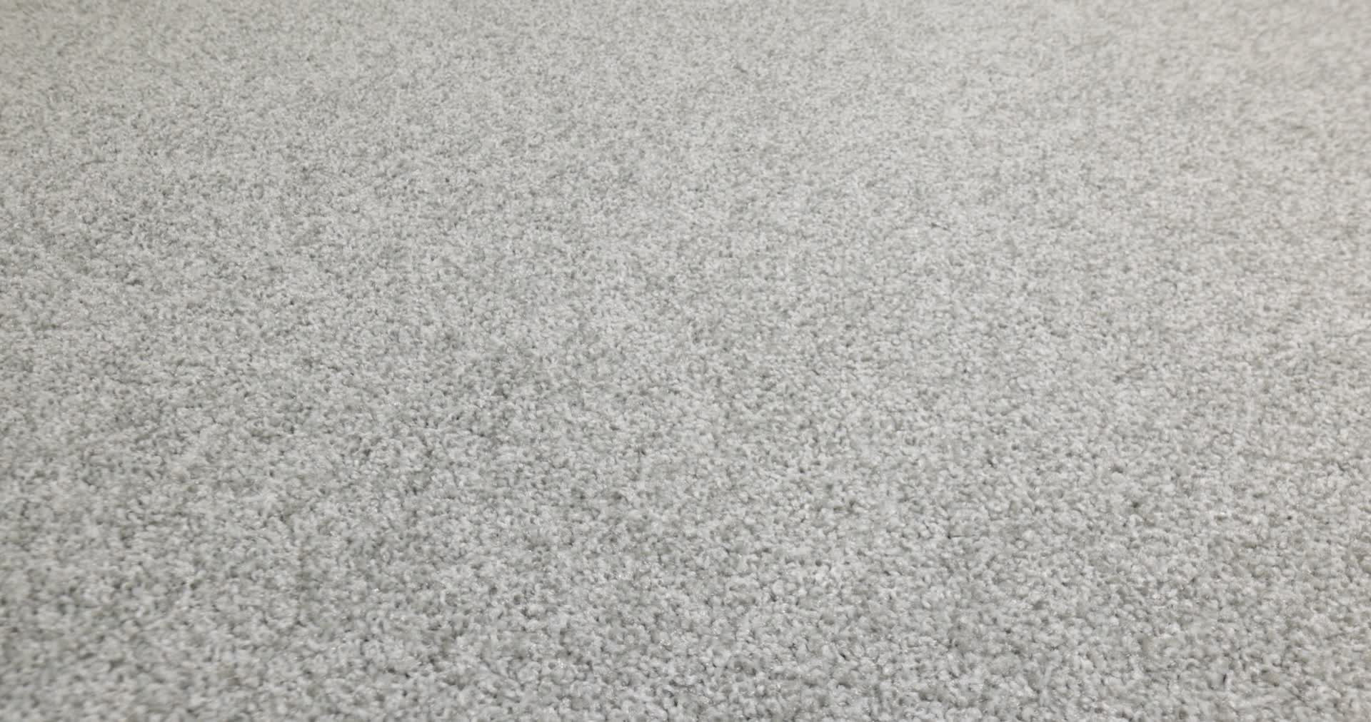 AG True Delight I ZEN GARDEN 360PROD