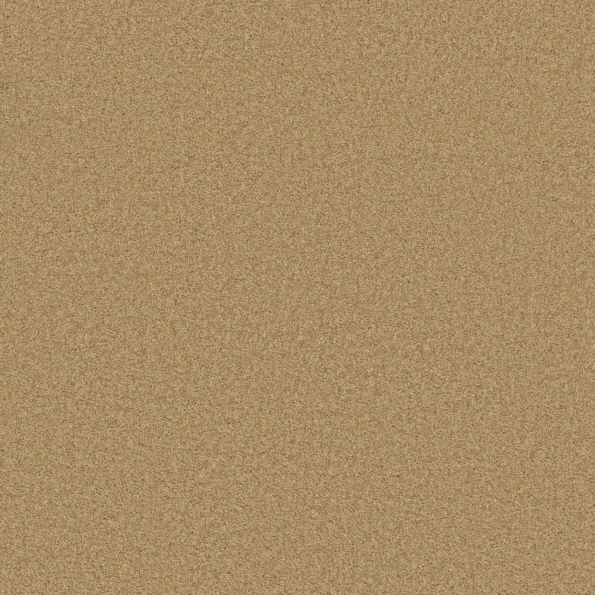 GRAND IMAGE III SUN SHOWER MAIN