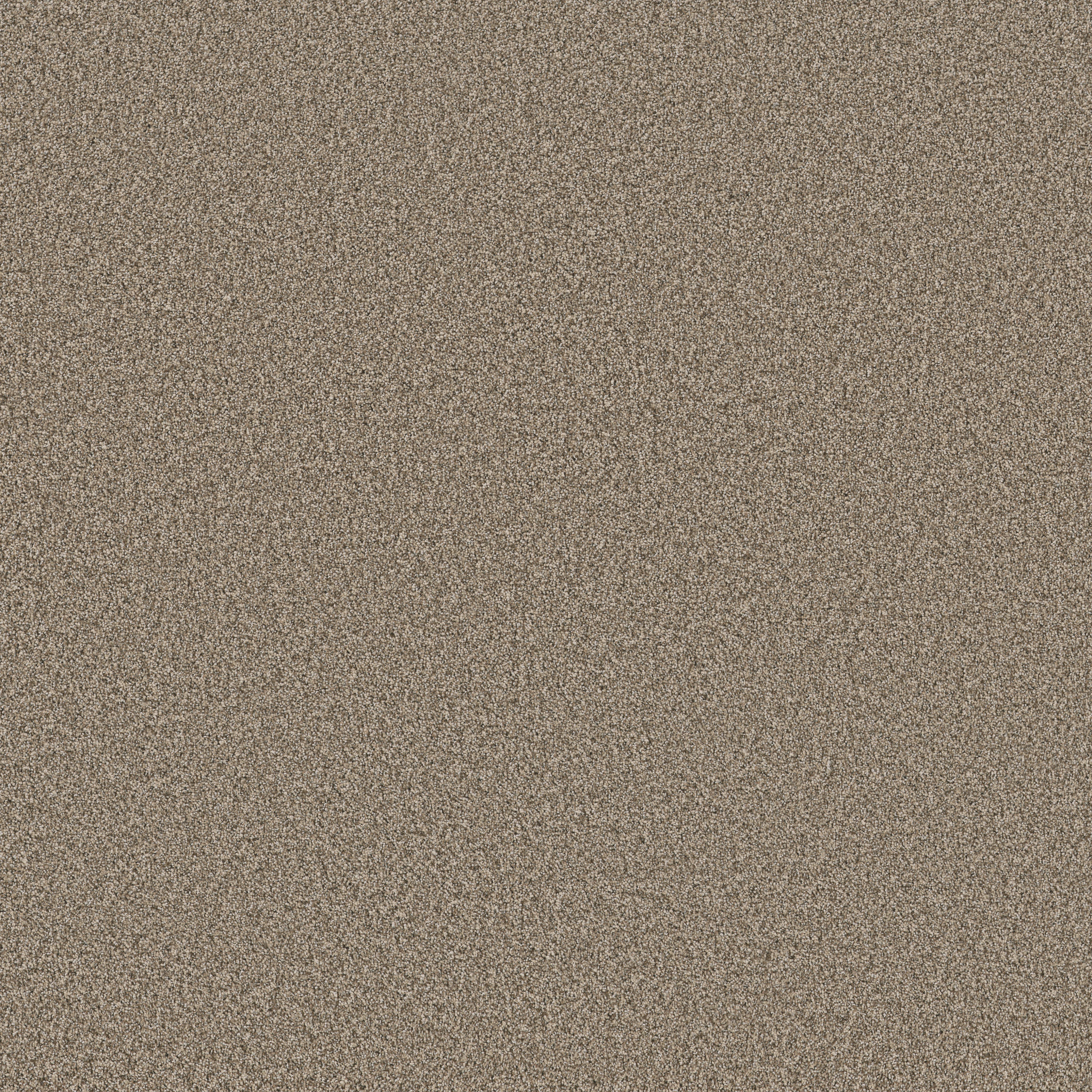 FABULOUS CHIC TAUPE MAIN