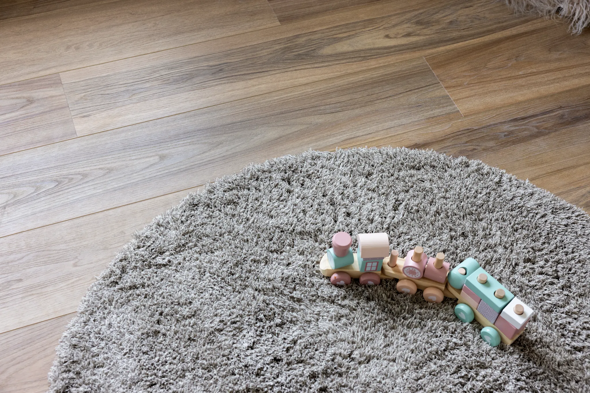 Close-up carpet with dark wooden floor