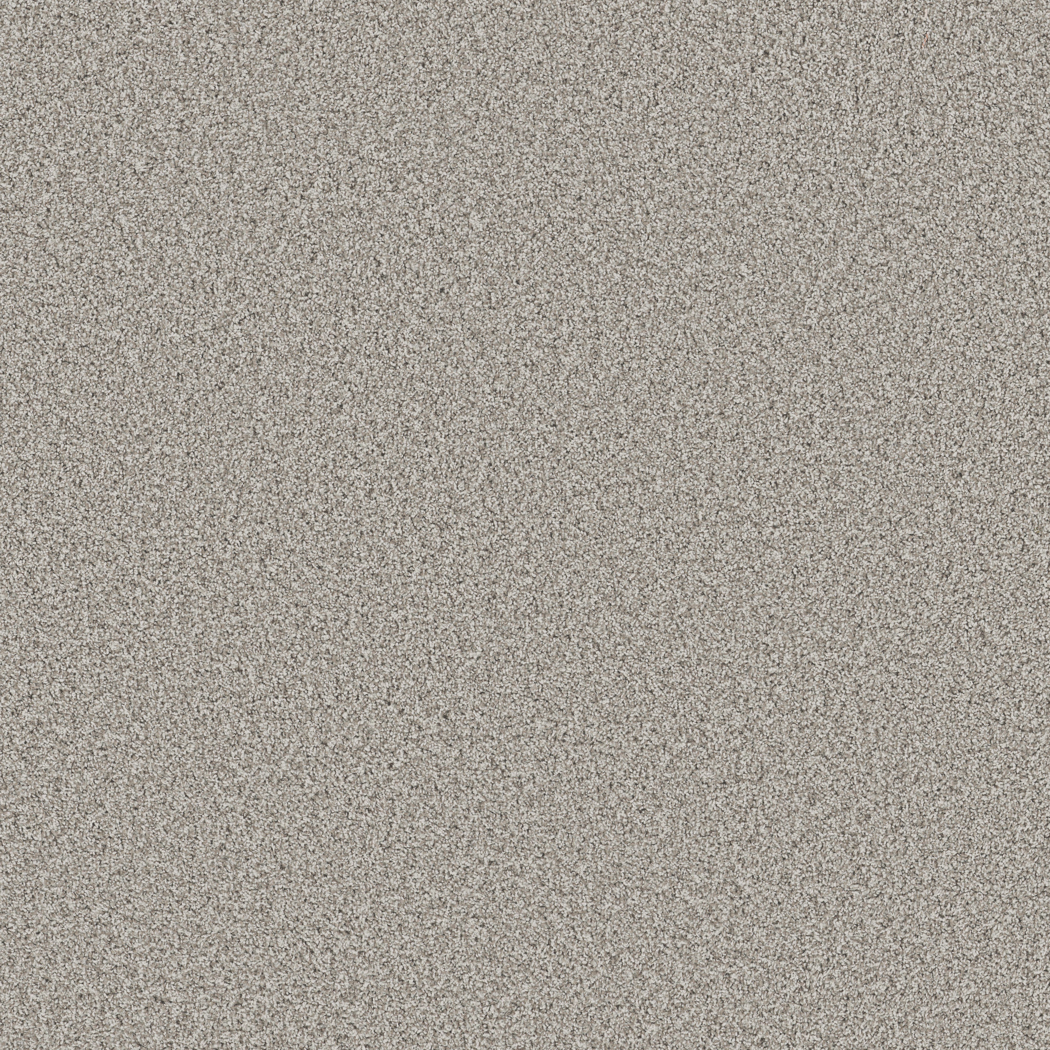 BOSSA NOVA PLATINUM MAIN