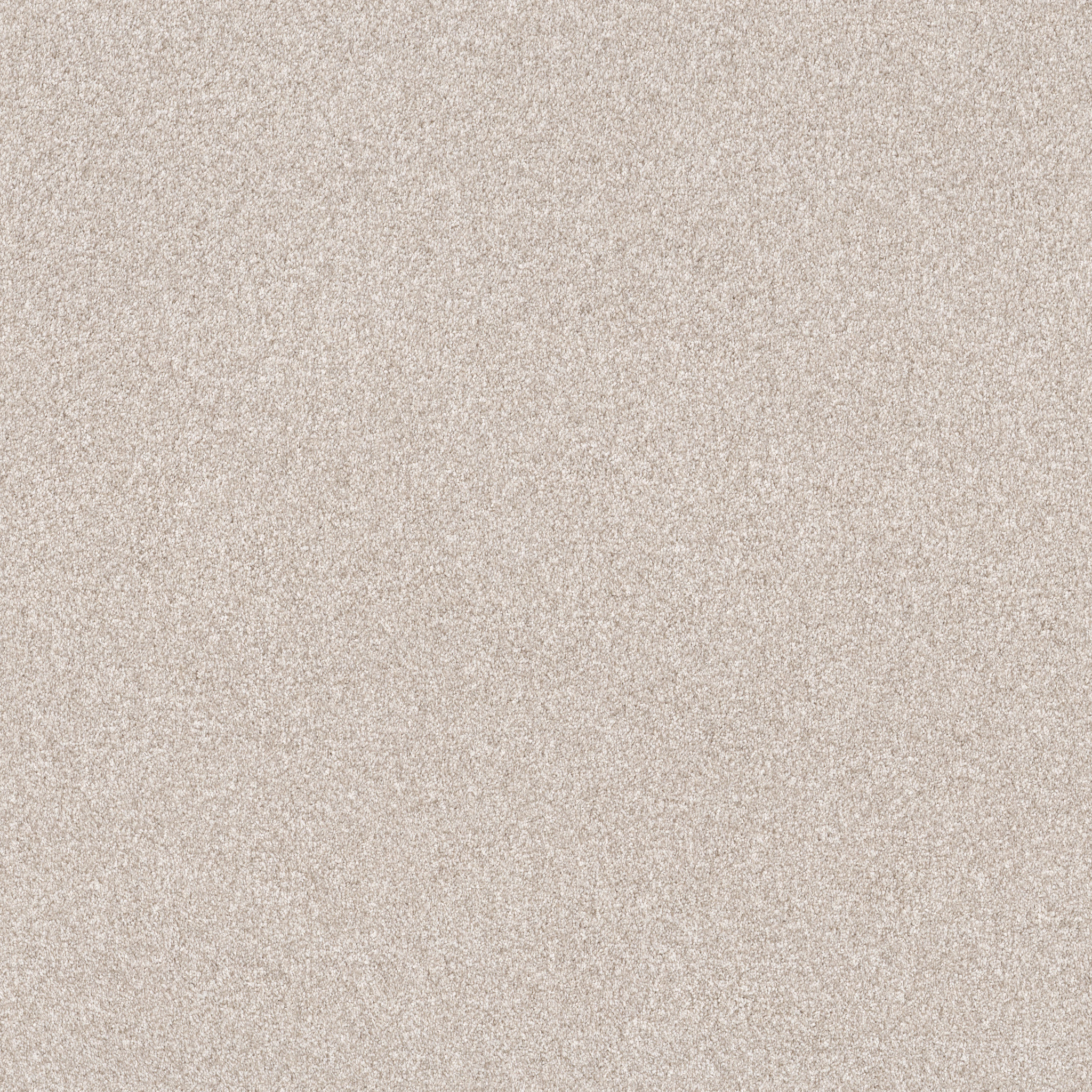 INFLUENCER GALLERY OPENING MAIN