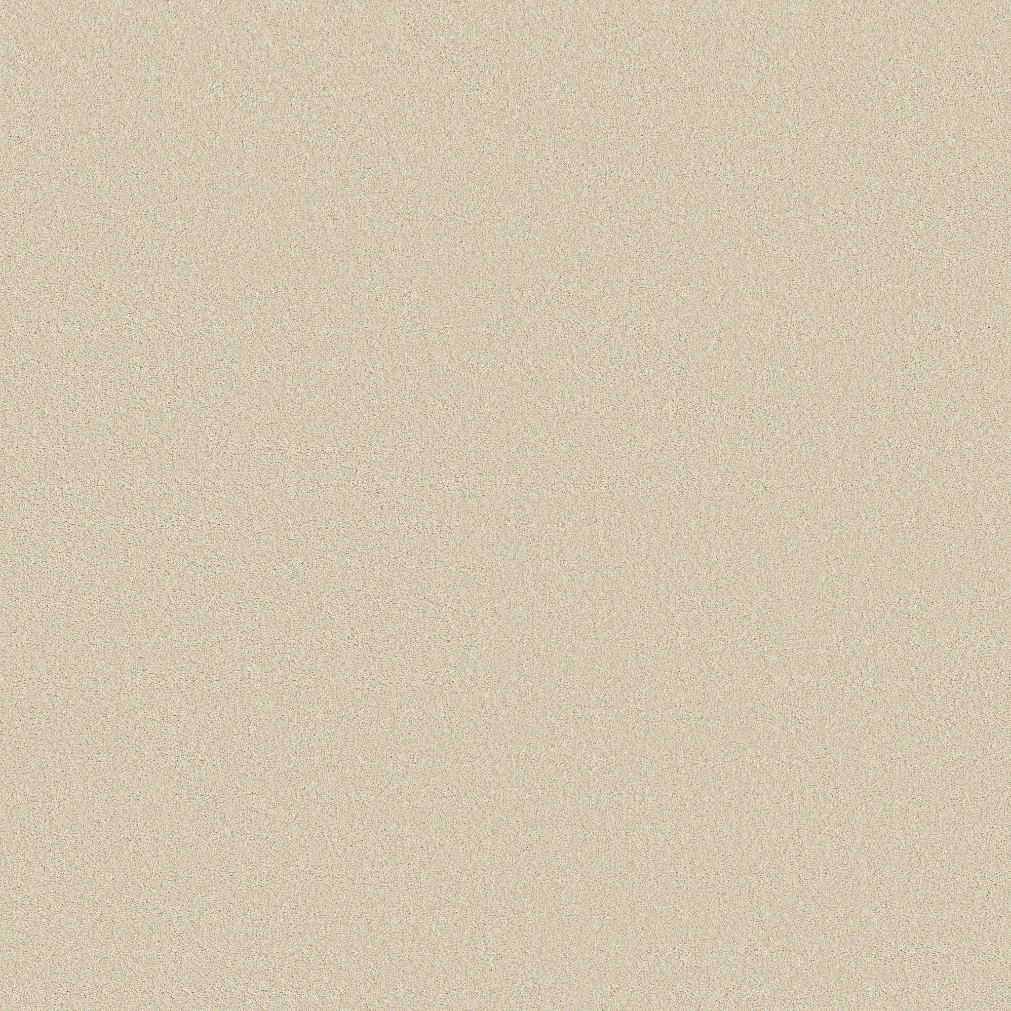 SMOOTH TONE SOFT SAND MAIN