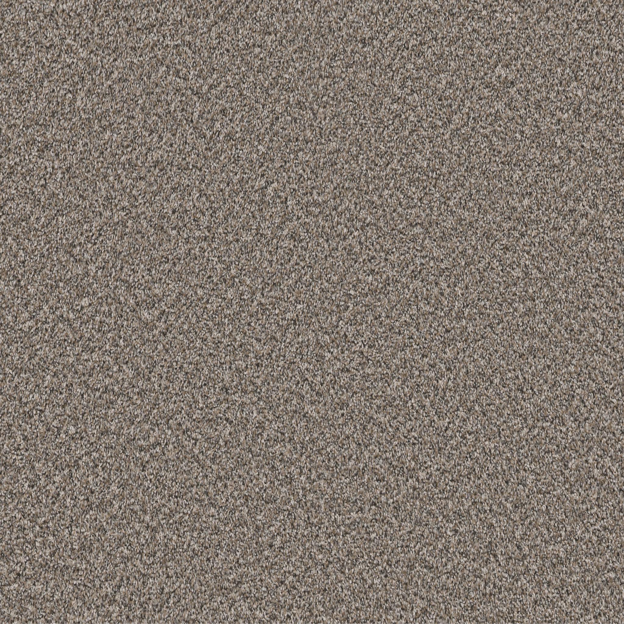 Soft Radiance in Mushroom