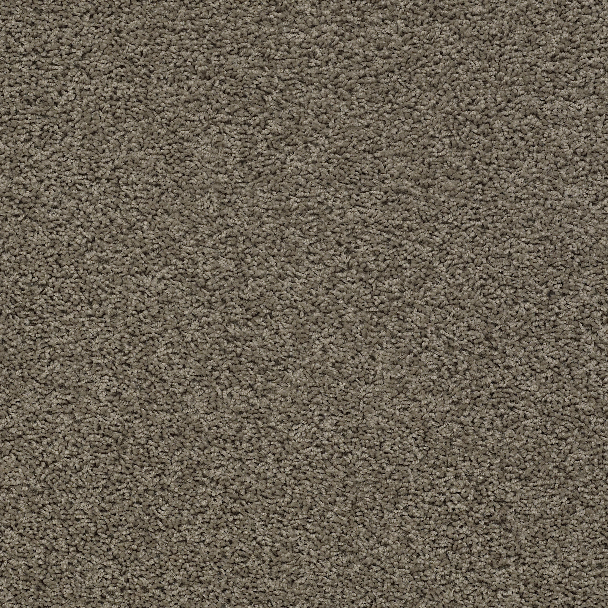 DEL MORRO FALLEN ROCK MAIN