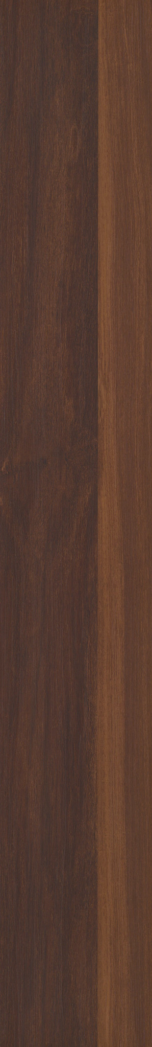 BISCAYNE OAK 1TO1
