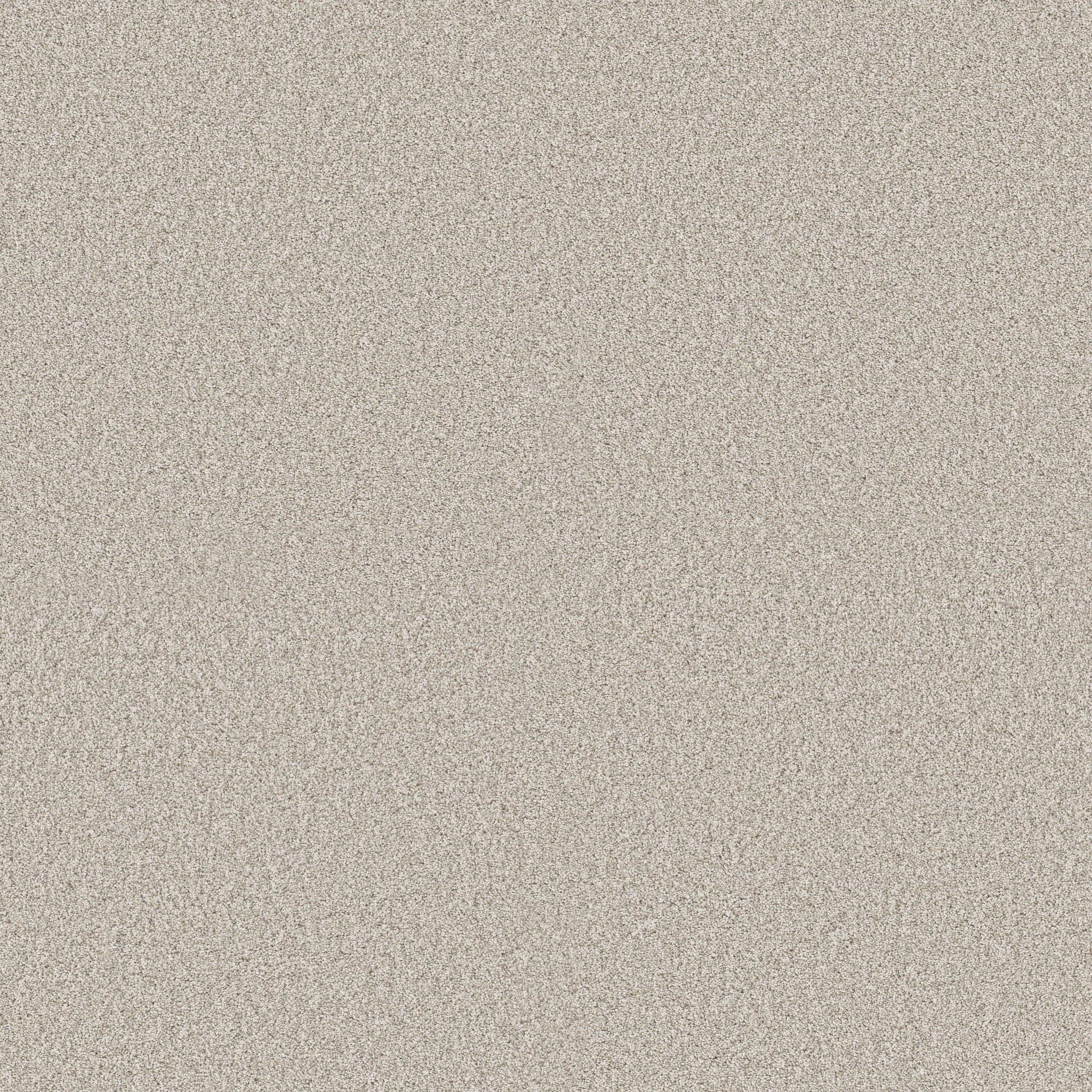 TIMELESS TONE BLUE COOL WINTER MAIN