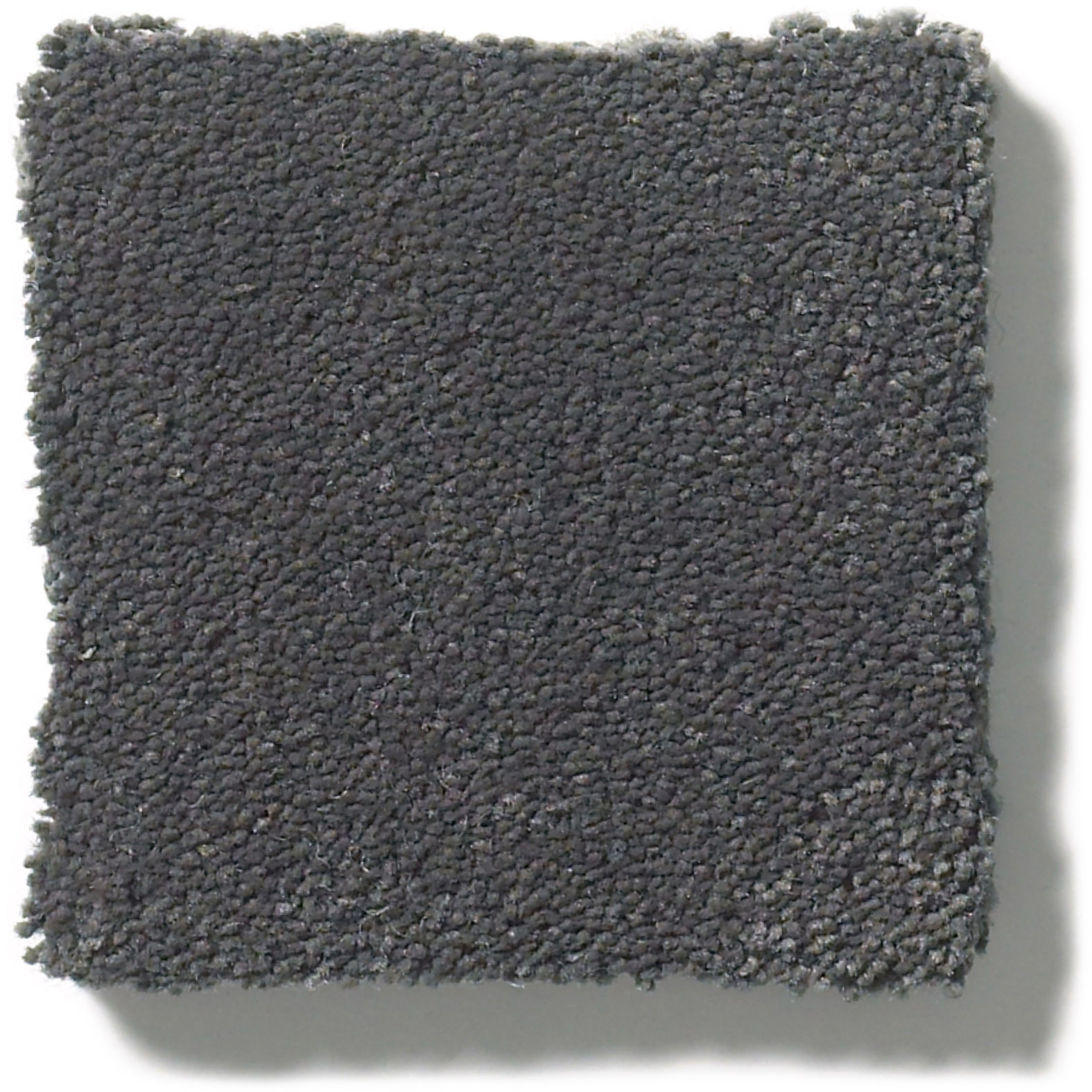 PERFECT CHOICE CHIC GRAY SWATCH