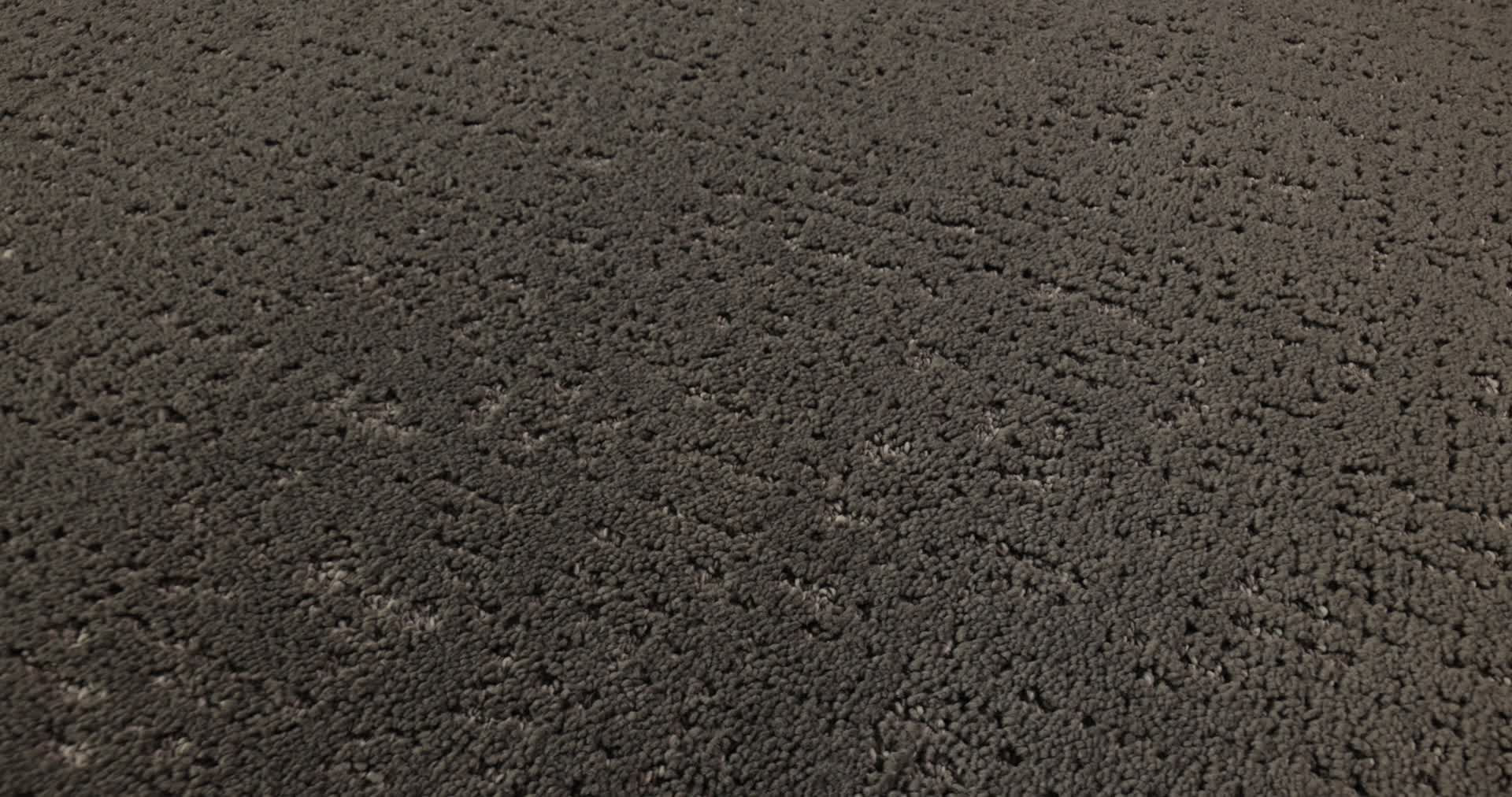 CURATED TONE NIGHT OWL 360PROD