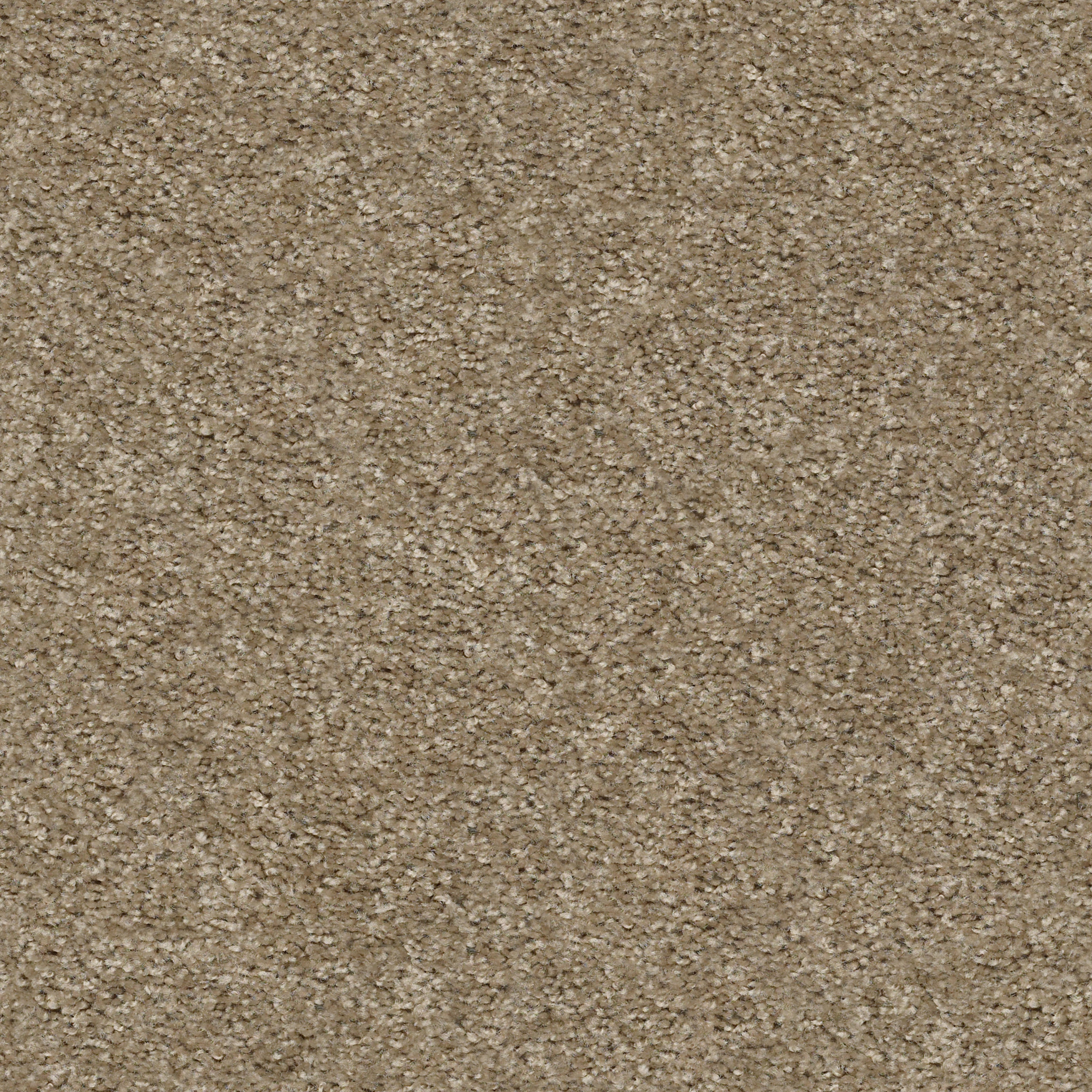 PLAY HARD TAUPE STONE MAIN