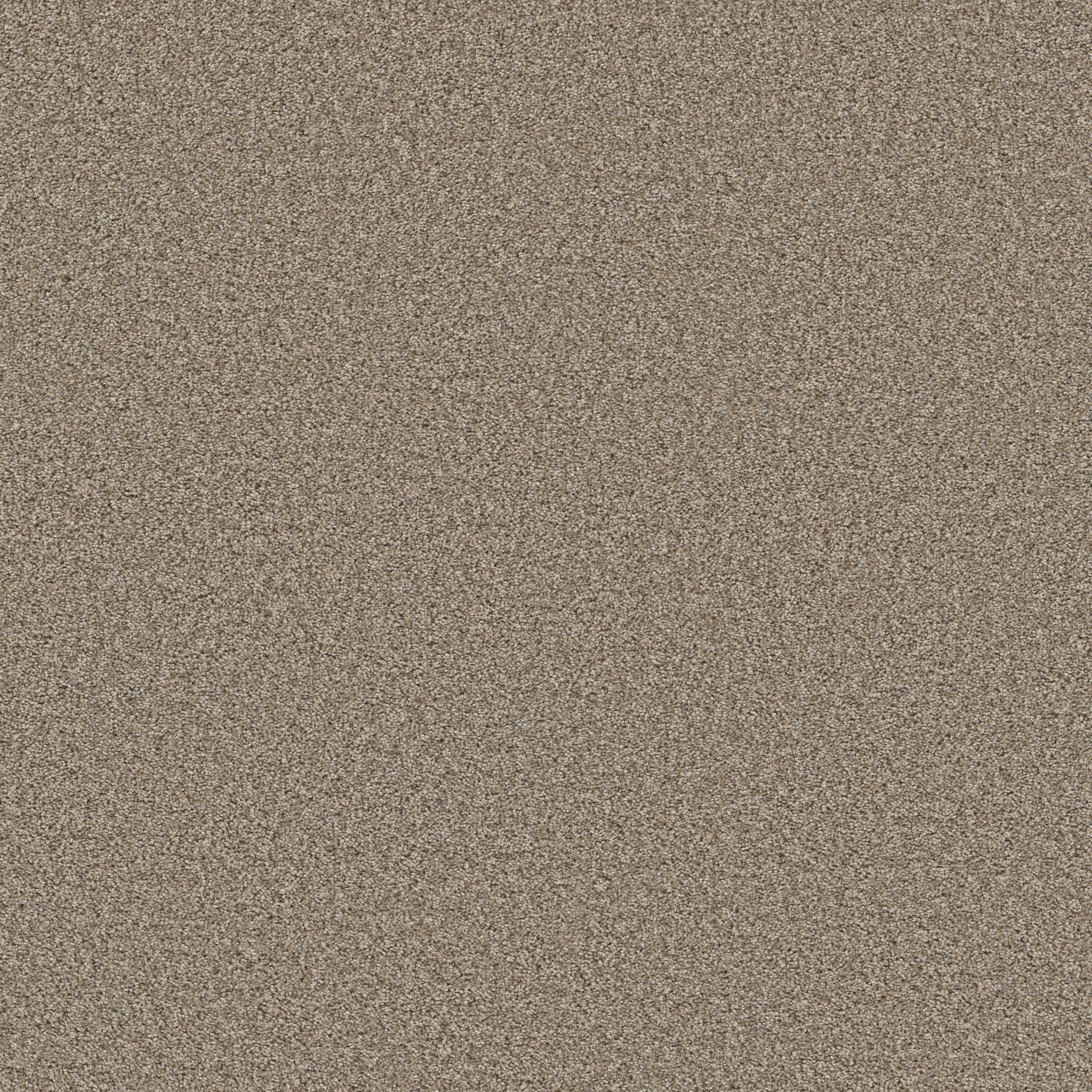 Best Yet - Sea Salt Carpet | Shaw Floors