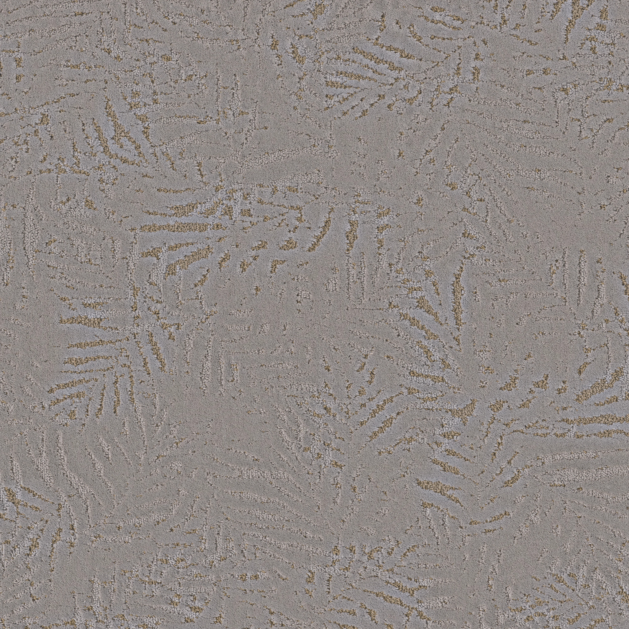 AUTOGRAPH SPORTS CAR MAIN