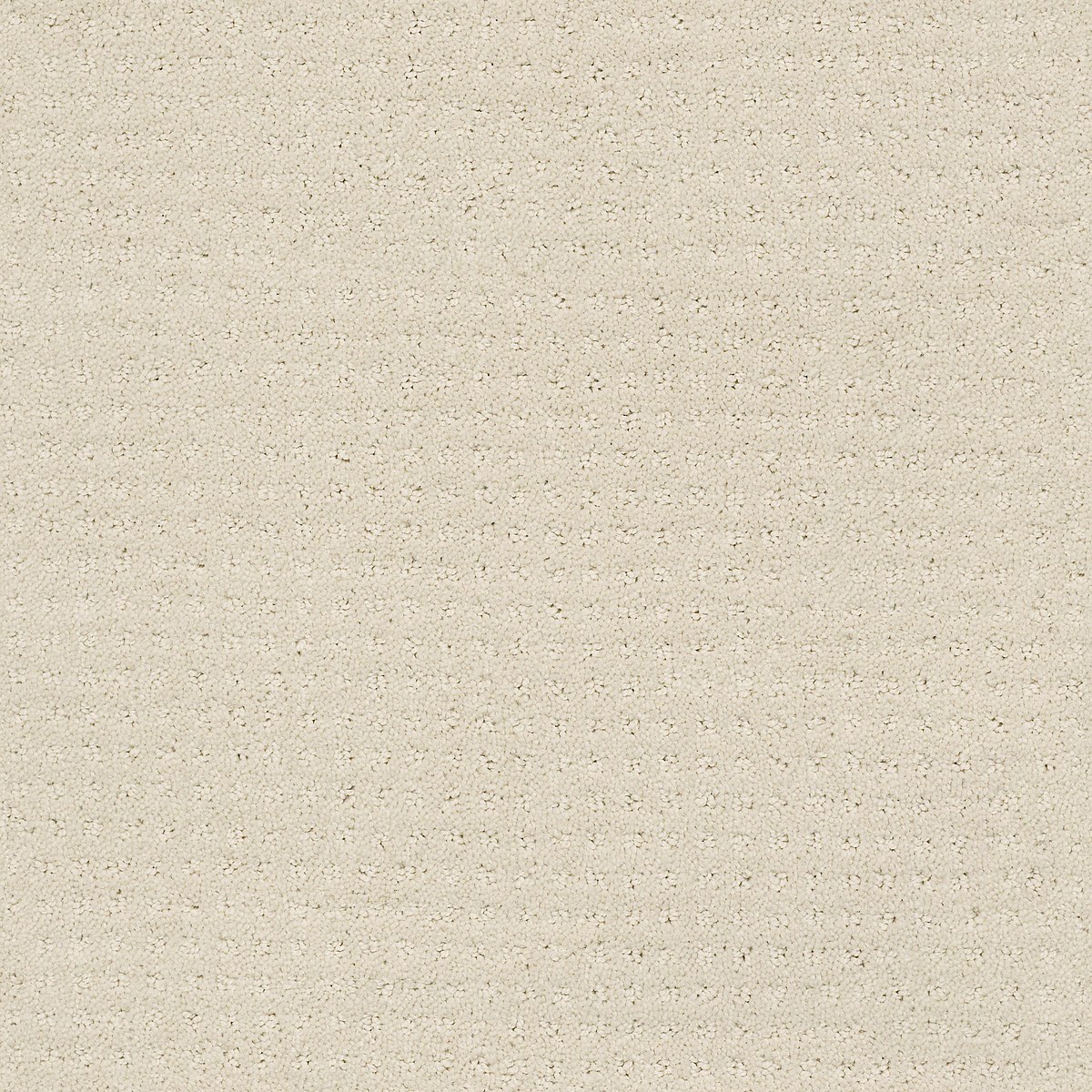 Shaw Floors PERPETUAL MOVE — ALABASTER