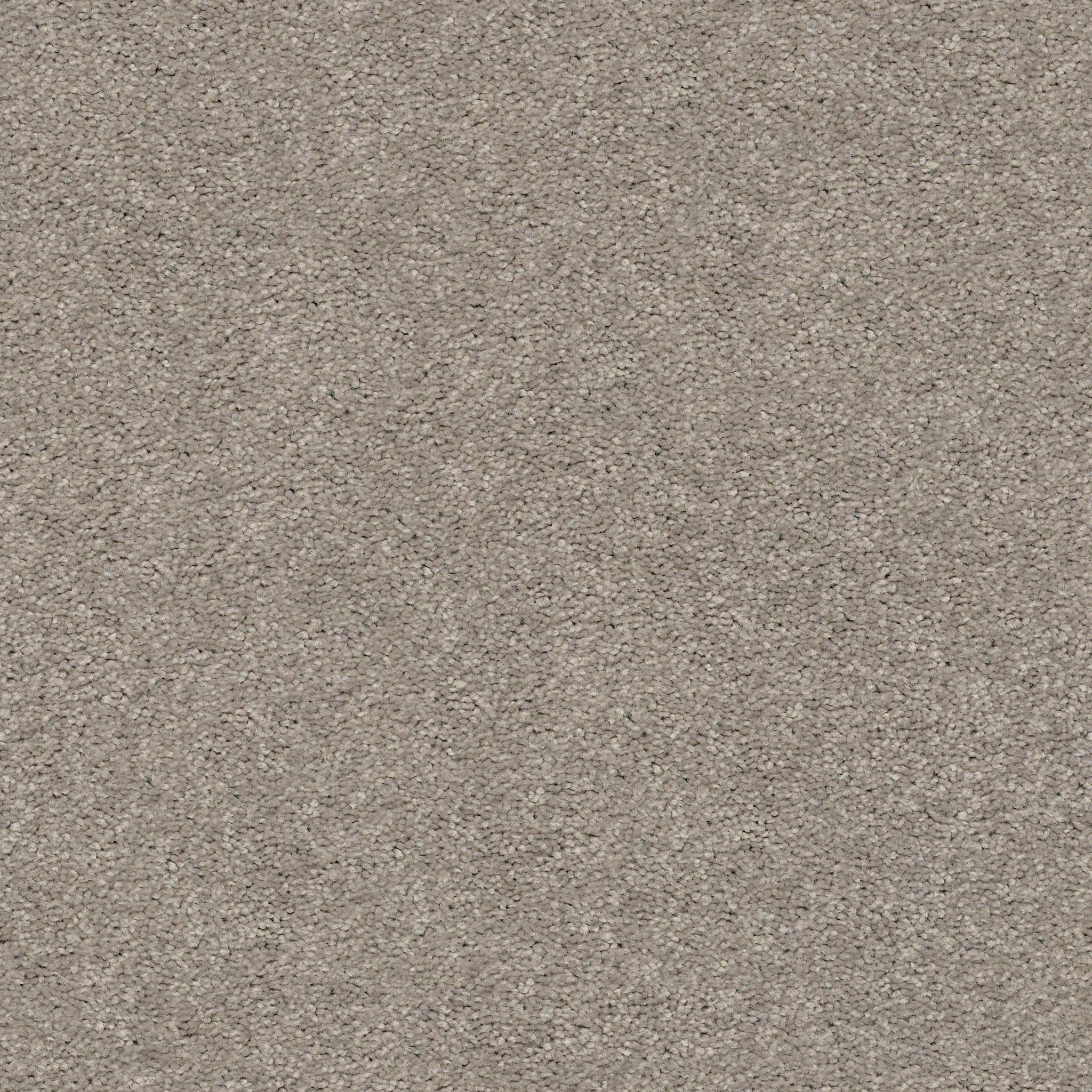 CABANA LIFE SOLID PERFECT TAUPE MAIN