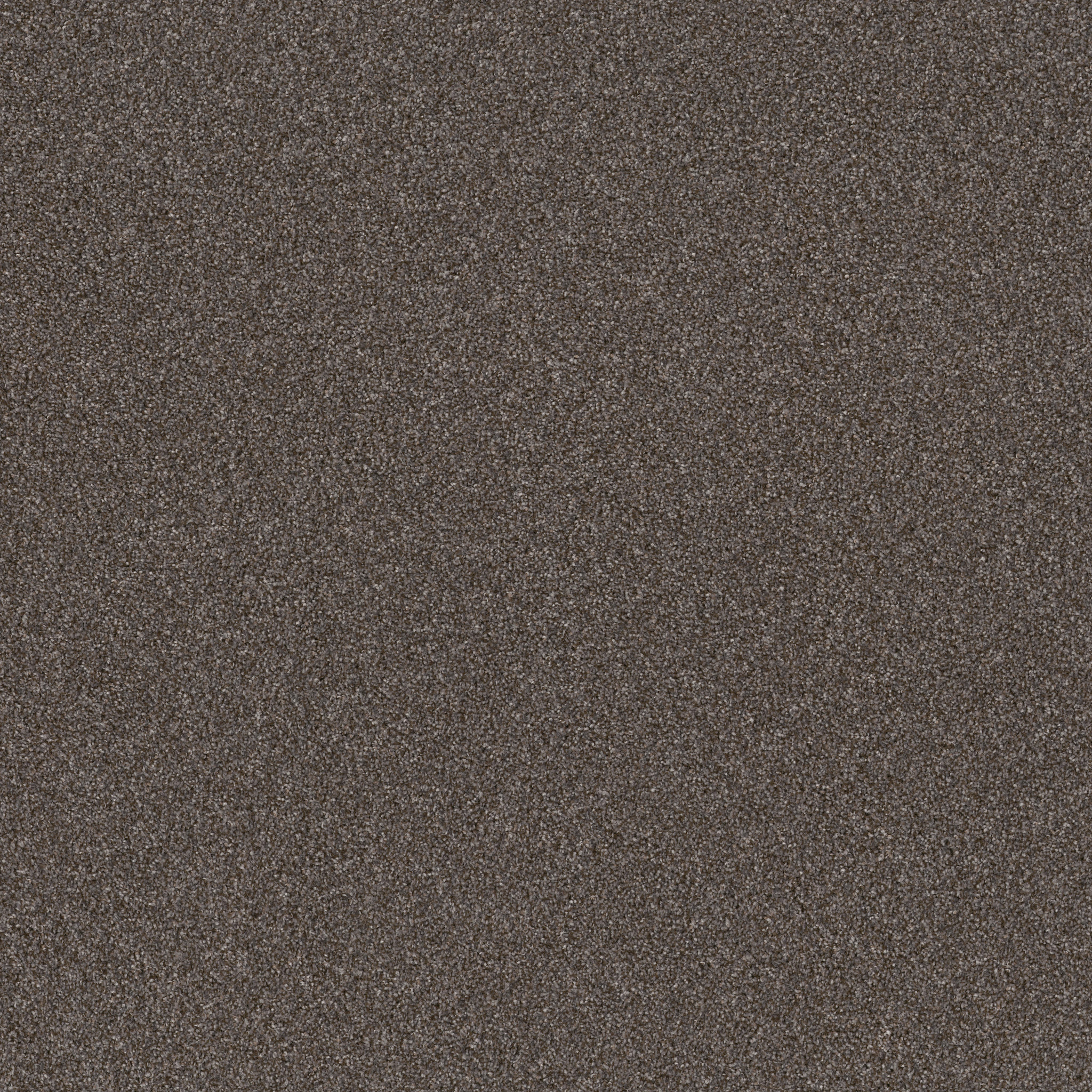 RIGHT CHOICE FOLKSTONE MAIN