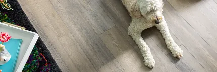 Light Wood Look LVP Flooring with Pet Friendly Design Light wood look luxury vinyl plank flooring with a dog lying on it, featuring a colorful rug and a tray with flowers