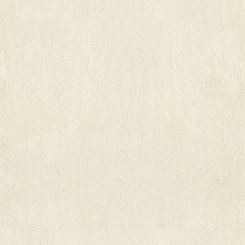Luxe Feel I Broadloom Carpet in Pacific color, 100% Nylon material, 12ft width, solid cut pile texture
