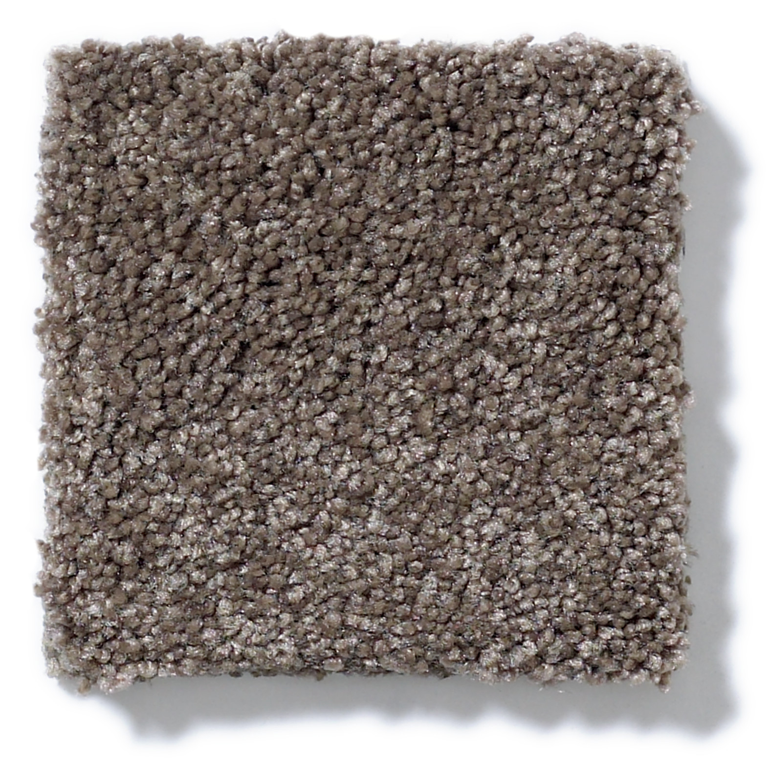 MOMENT OF TRUTH RUSTIC TAUPE SWATCH