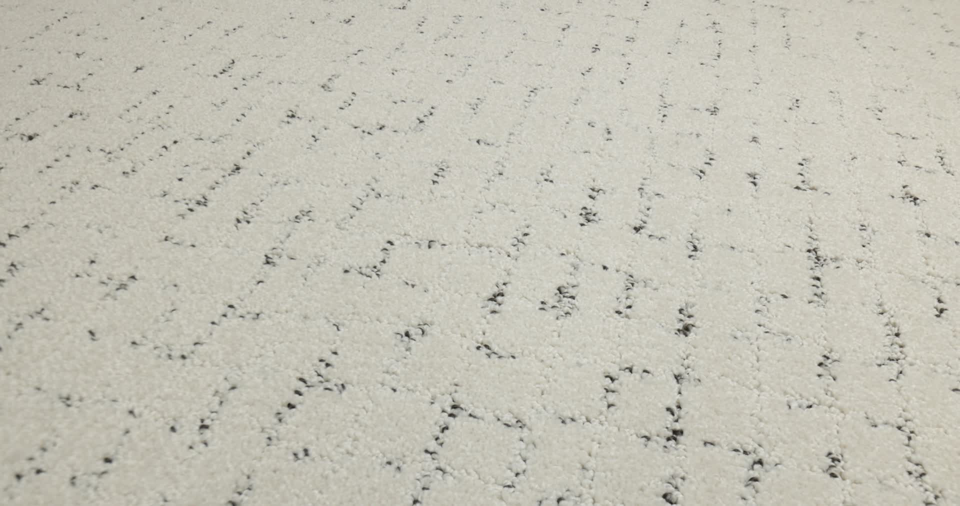 BLOCK PARTY MARBLE 360PROD