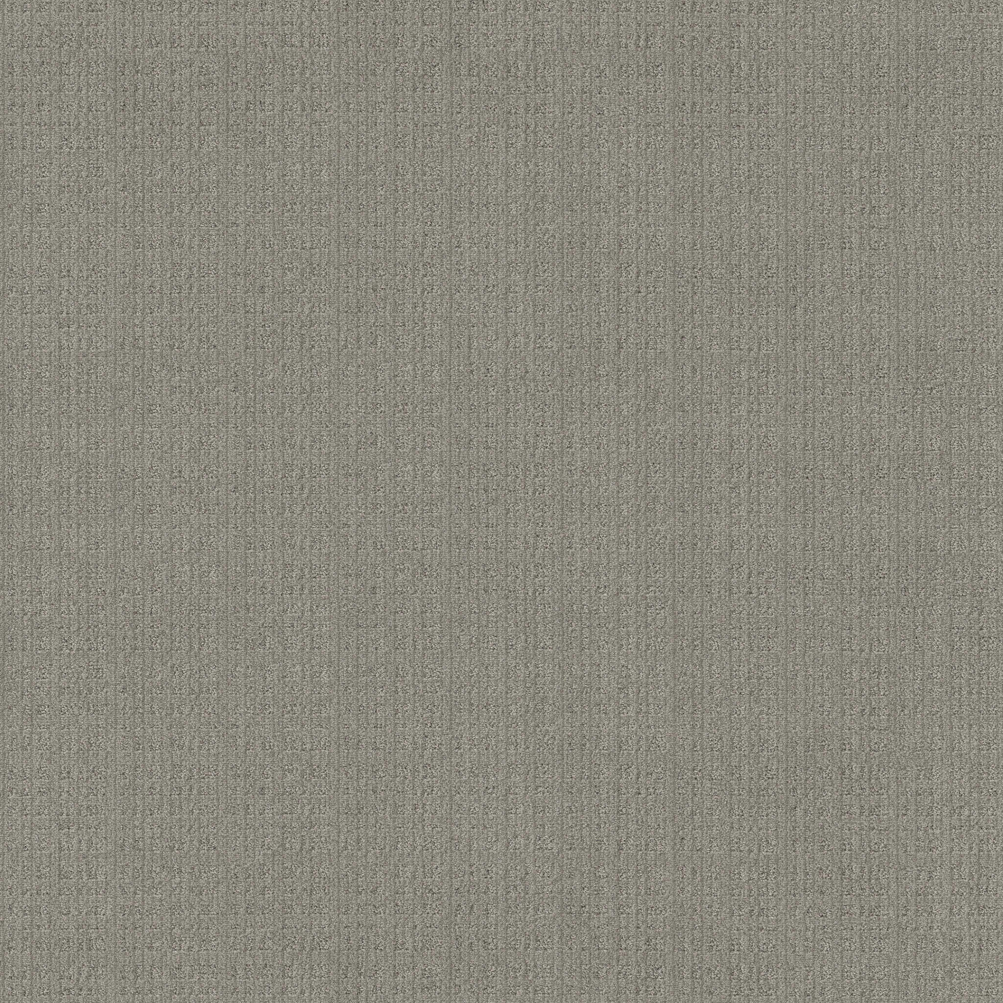 PURRSUASION CEMENT MAIN