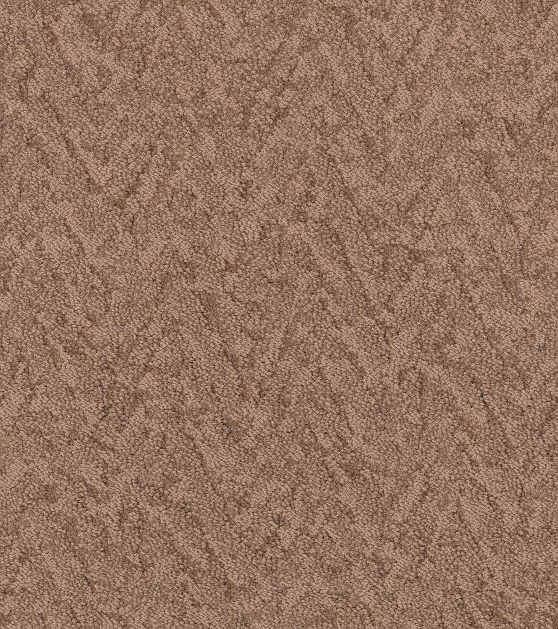 LAVISH LIVING SUNBAKED MAIN