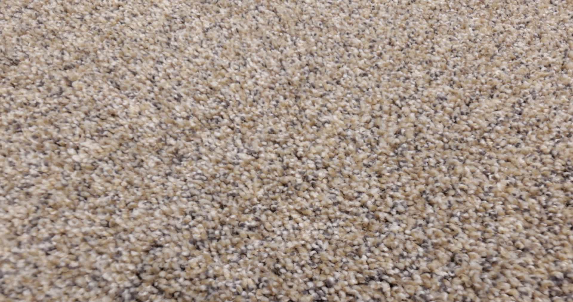 ALWAYS RIGHT I PUFF PASTRY 360PROD