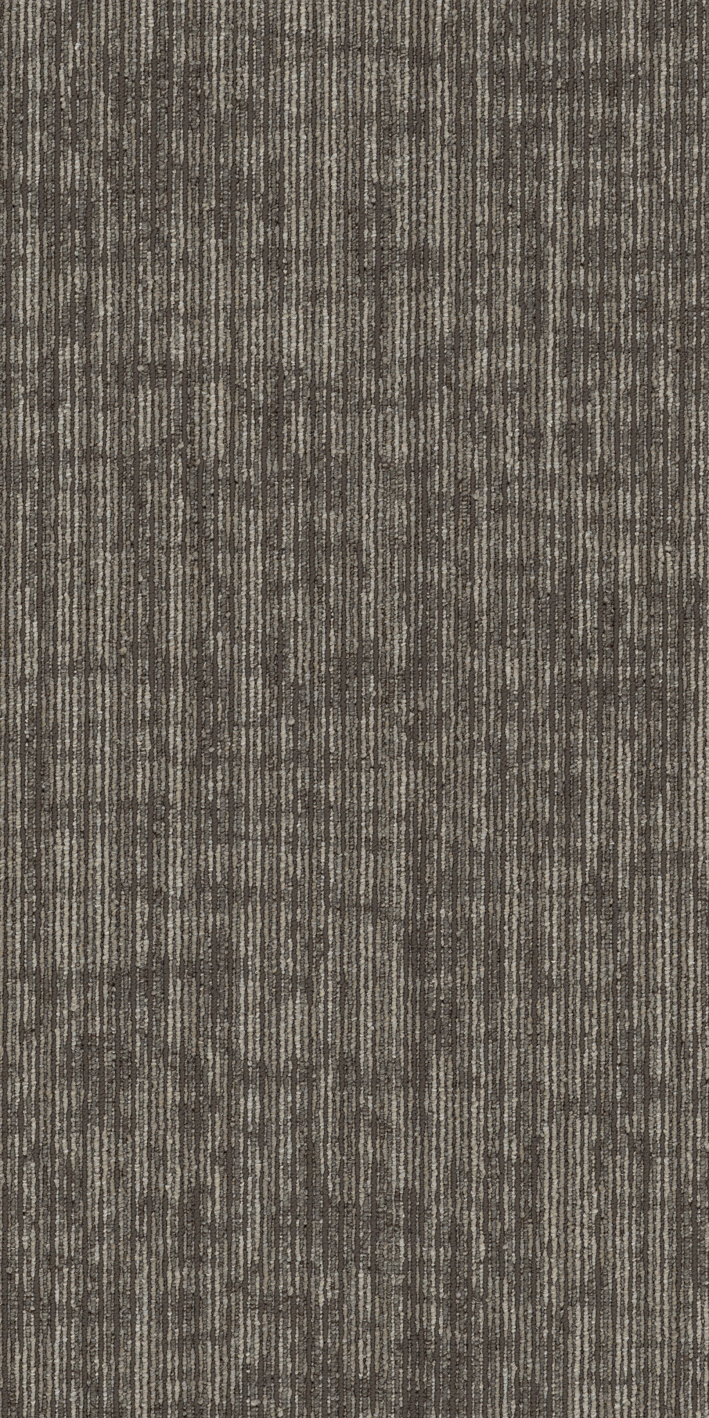 RISE-UP-54997-EMPOWER-00200-main-image