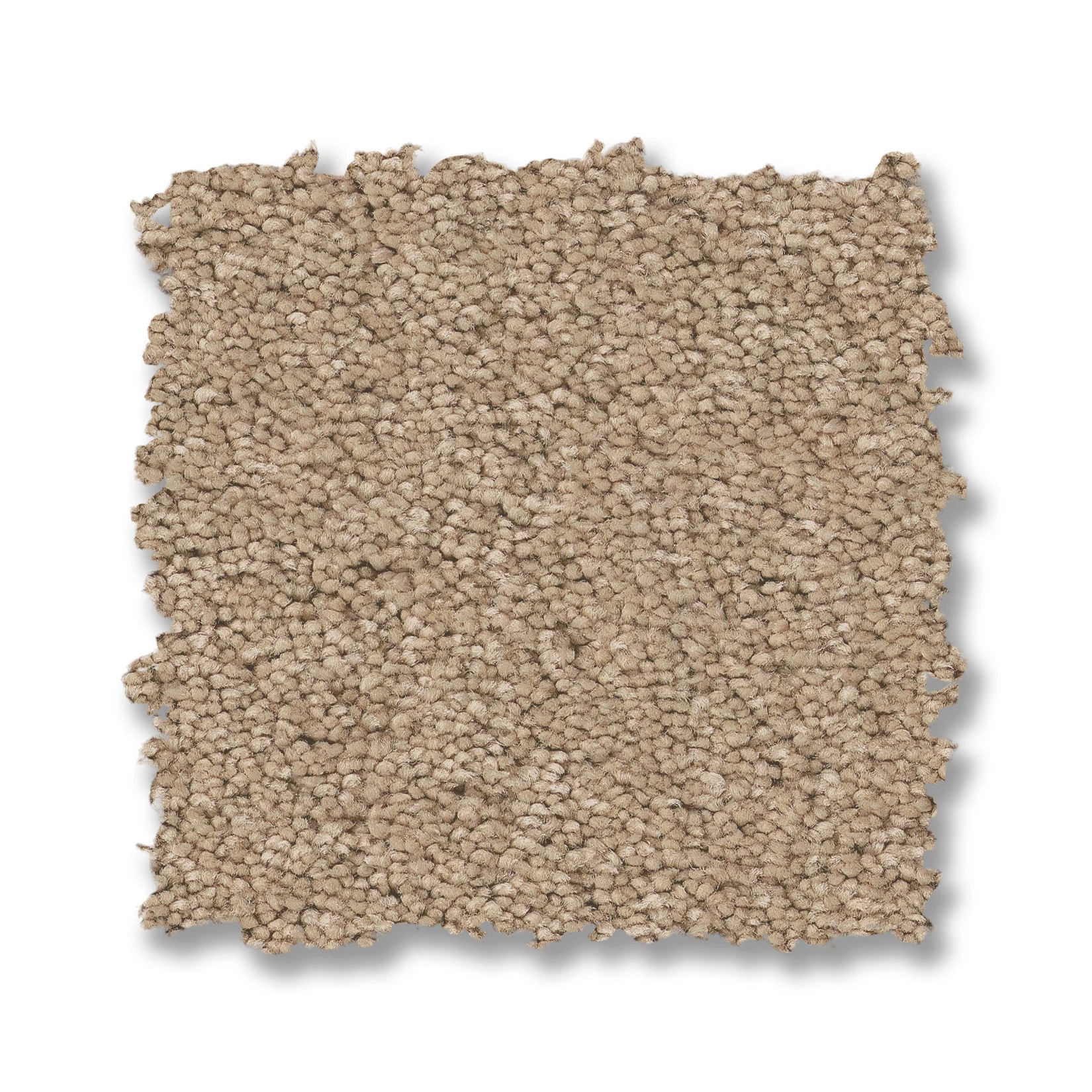 ELEGANT BEAUTY BRULEE SWATCH