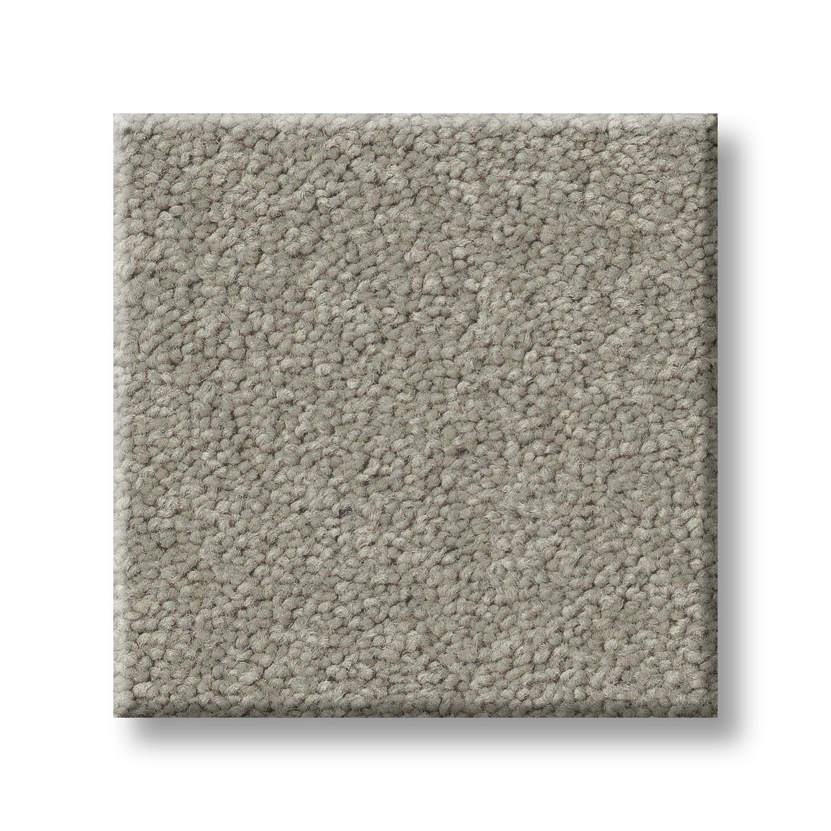 TIMELESS APPEAL III 12' SILVER CHARM SWATCH