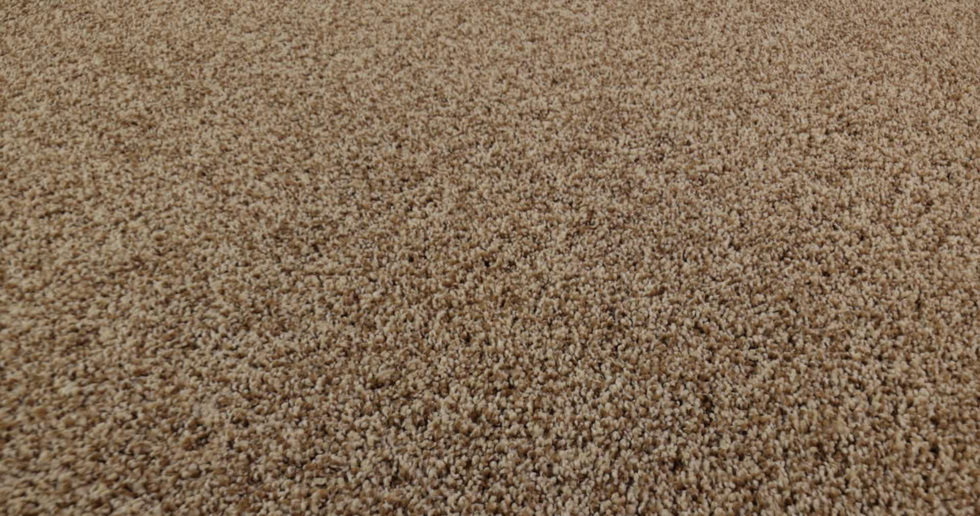 BELLA NOVA SAVANNAH 360PROD