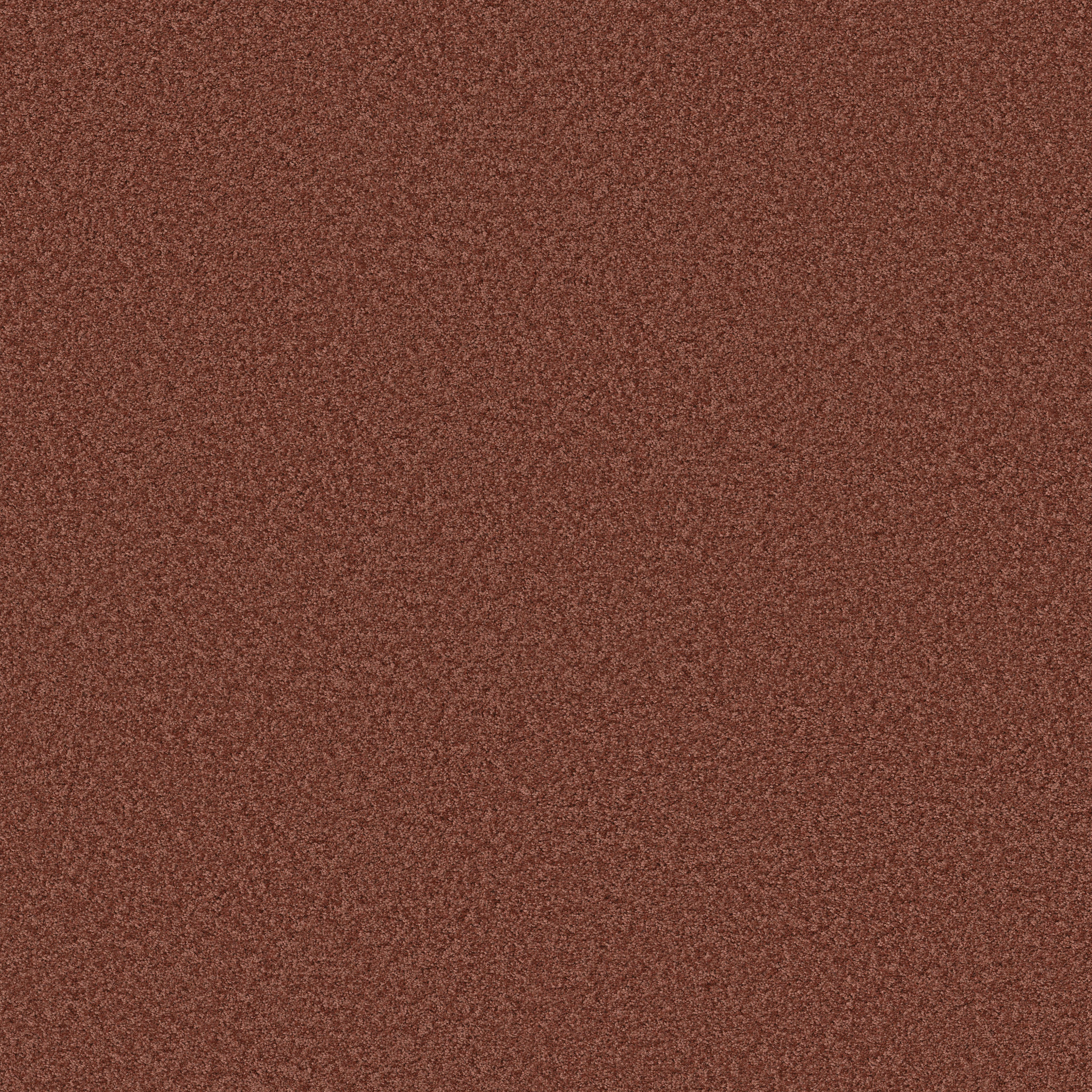 COLESVILLE 12' SIENNA MAIN