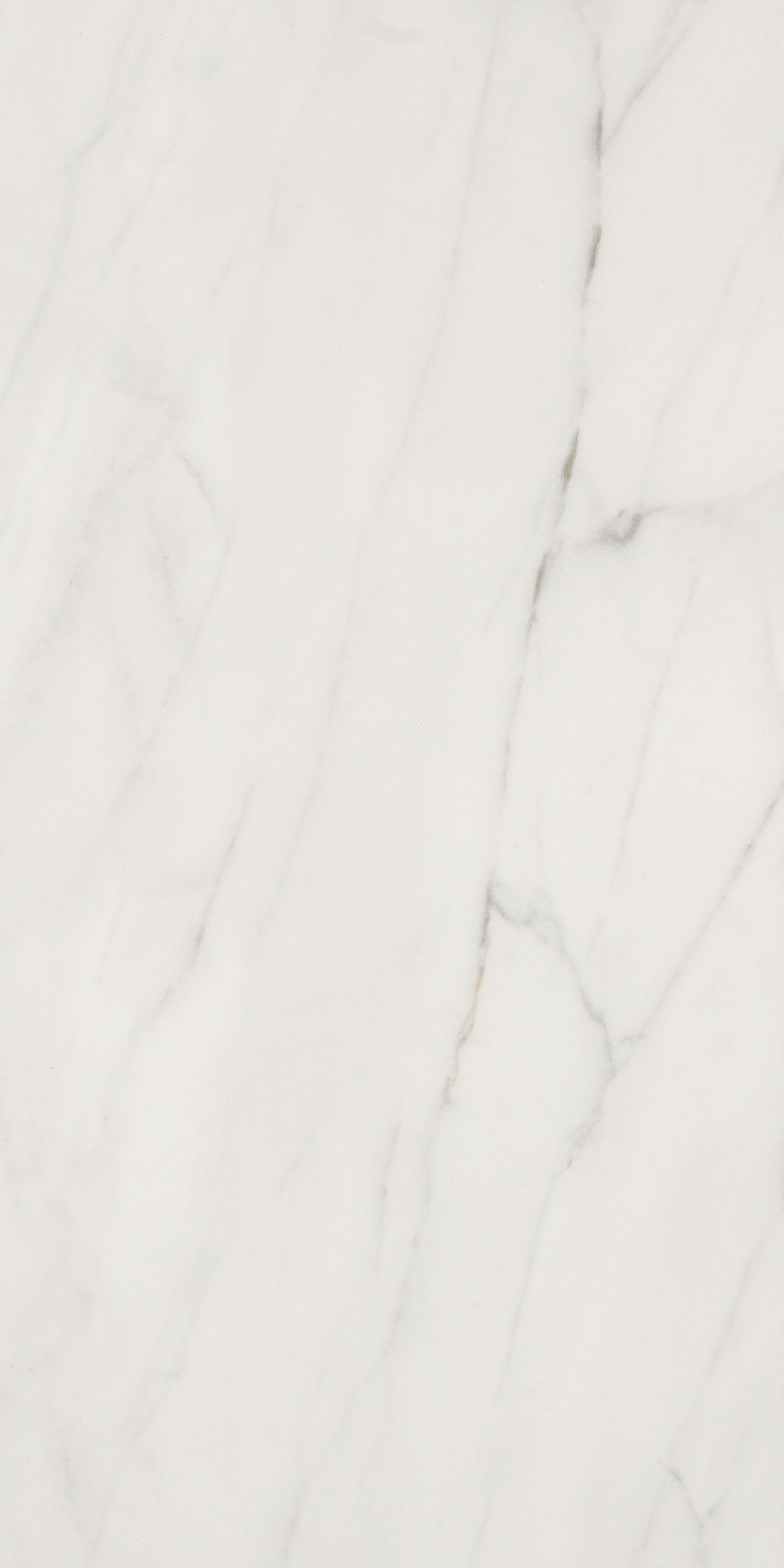 MAXIMUS 12X24 CARRARA MAIN