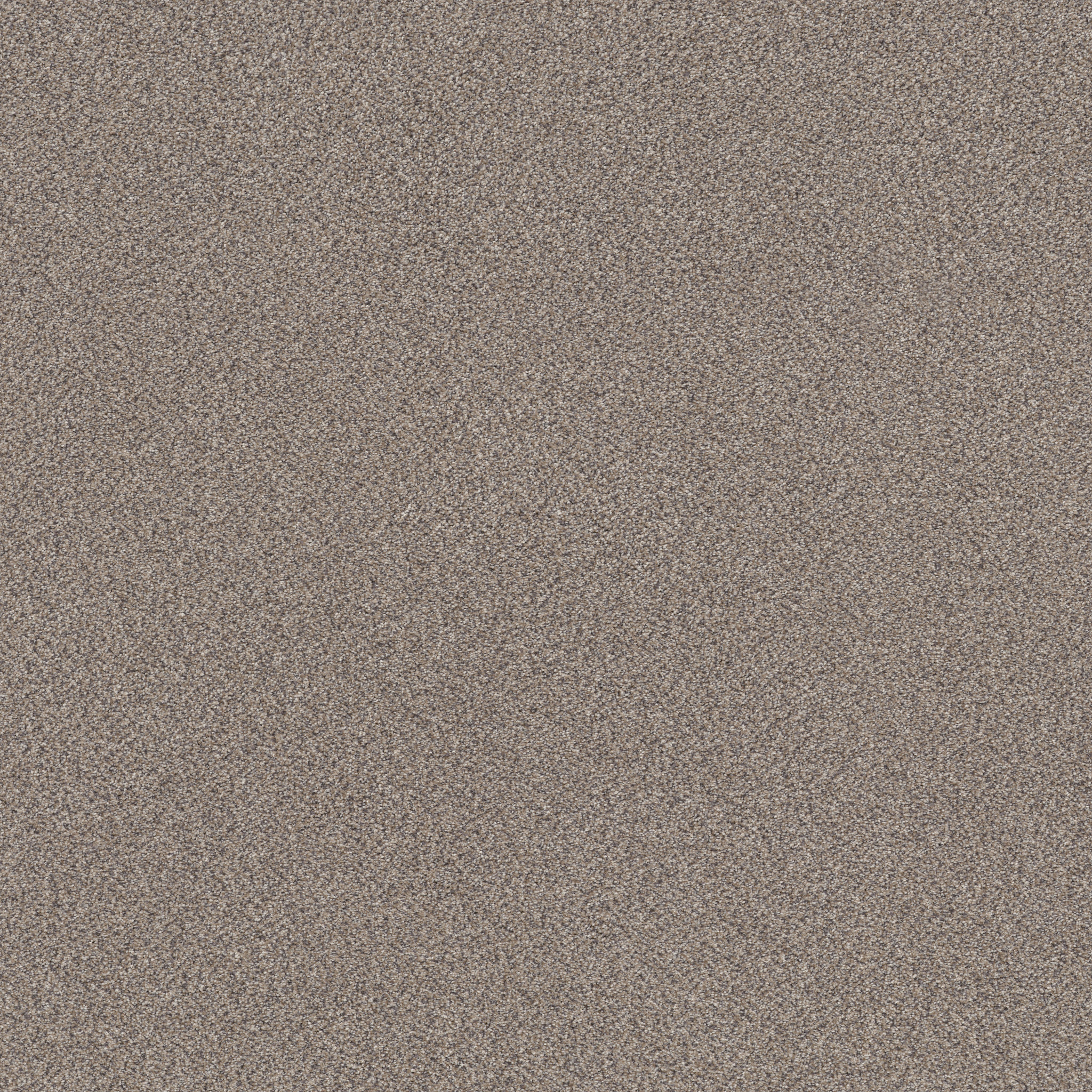 TruSplendor CONCRETE MAIN