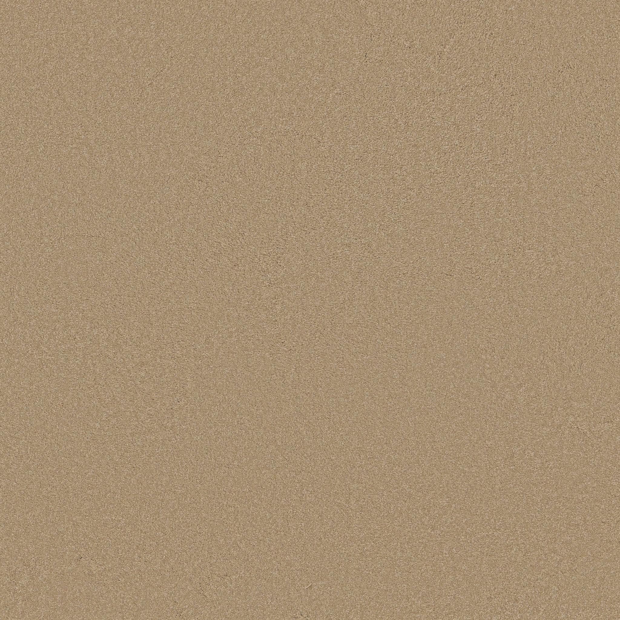 ULTIMATE EXPRESSION 12' STUCCO MAIN